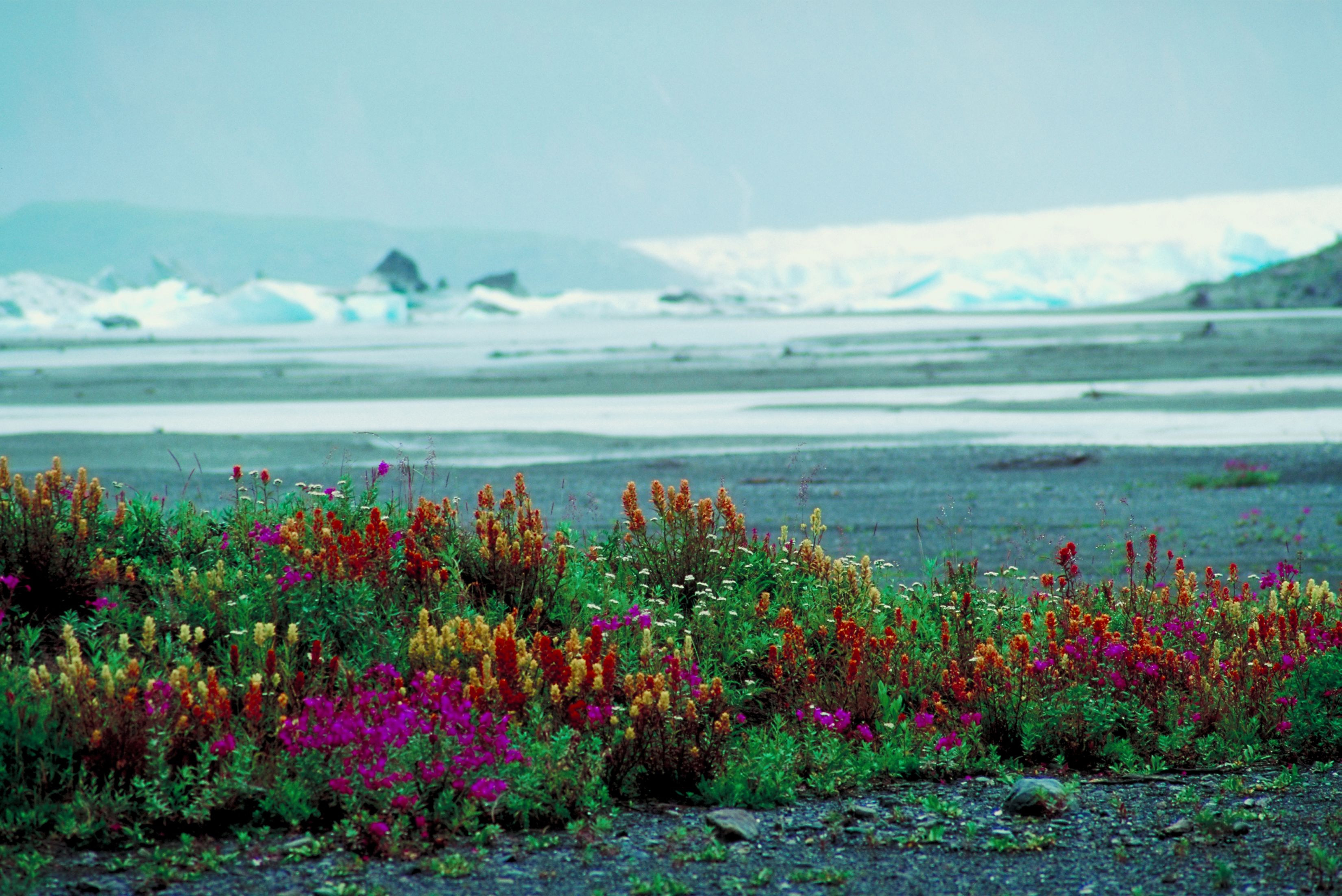 tatshenshini-river-alaska
