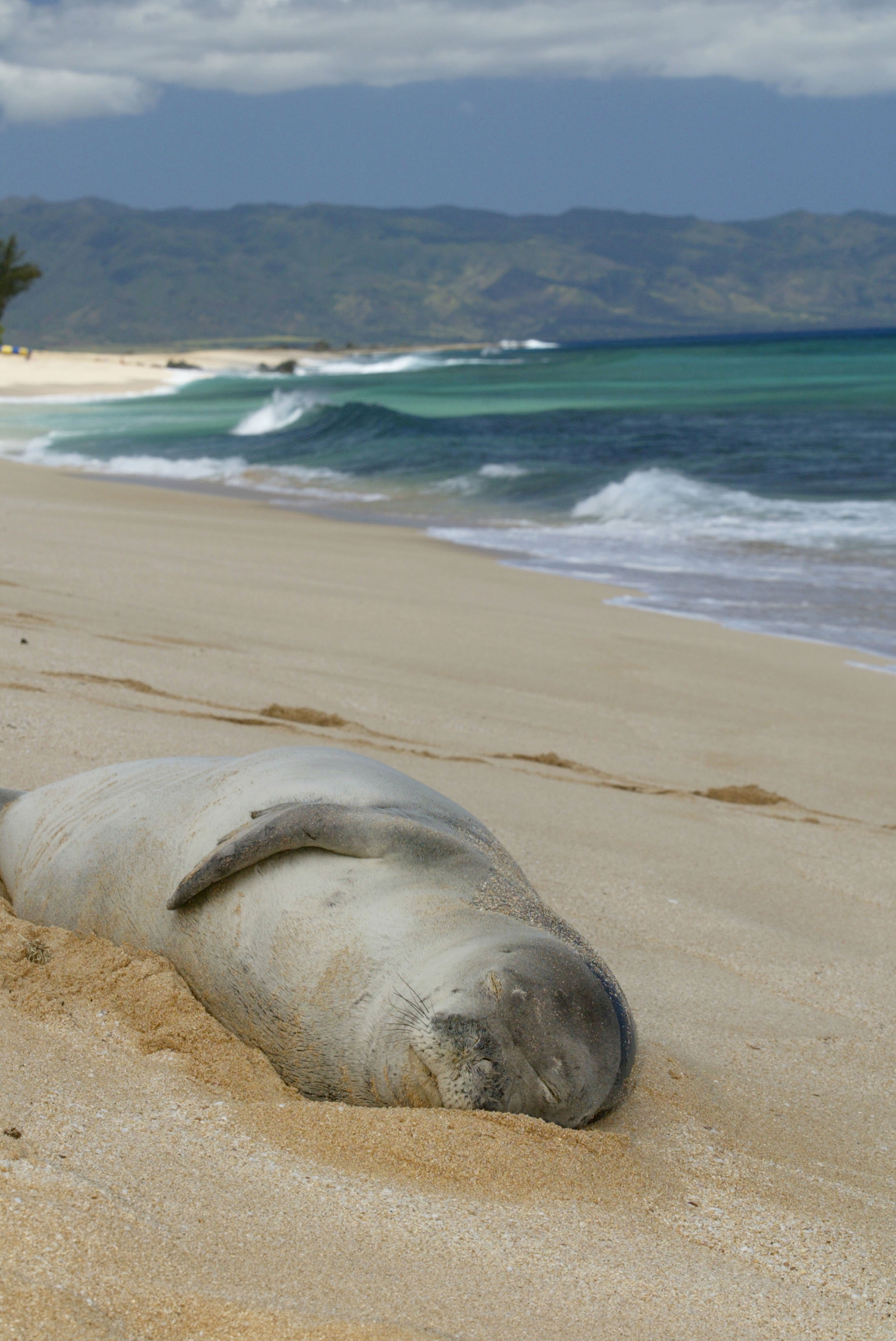 oahu-superb-shoreline