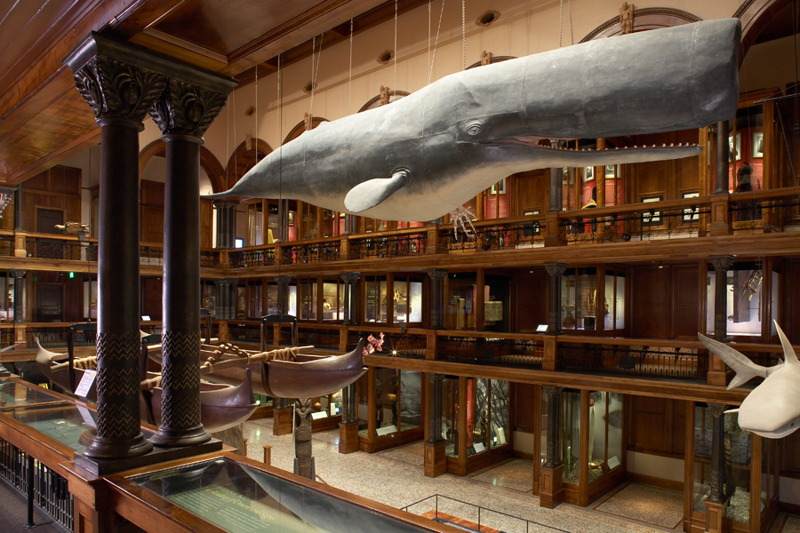 oahu-must-see-museum