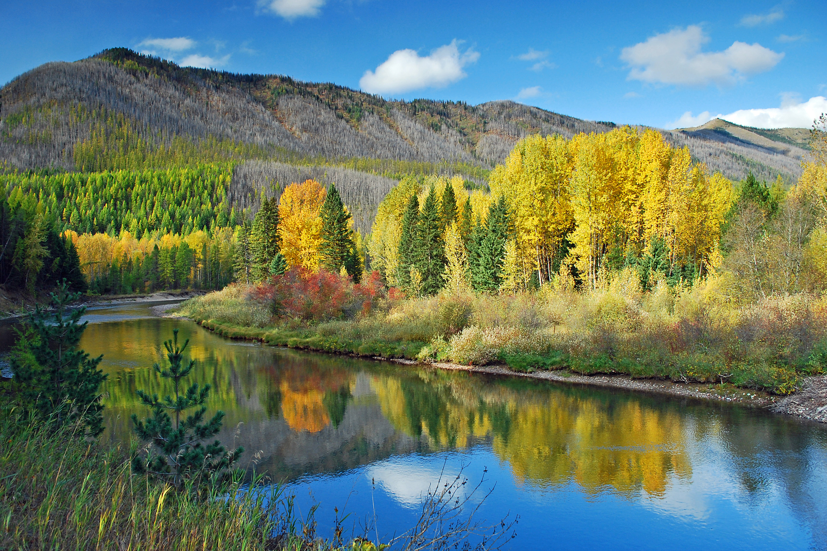 glacier-national-park-mt
