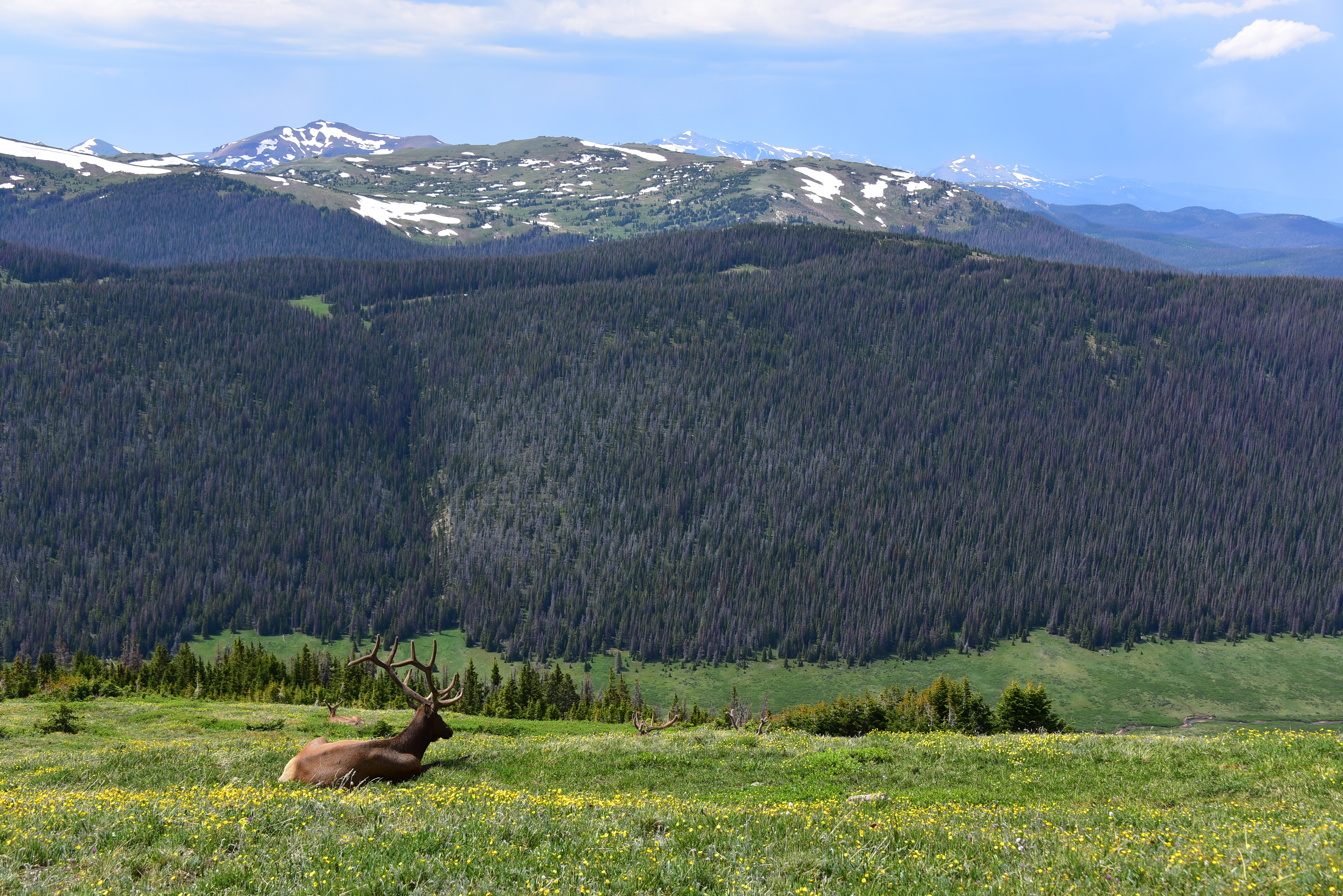 rocky-mountain-national-park-co