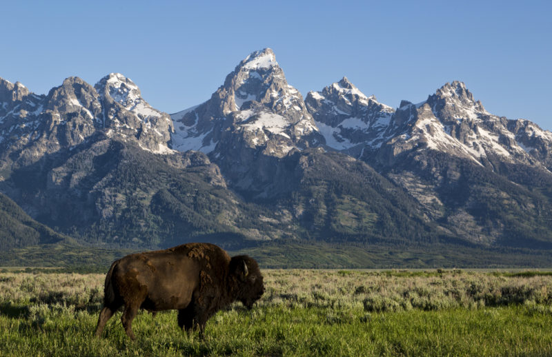 Grand Teton National Park