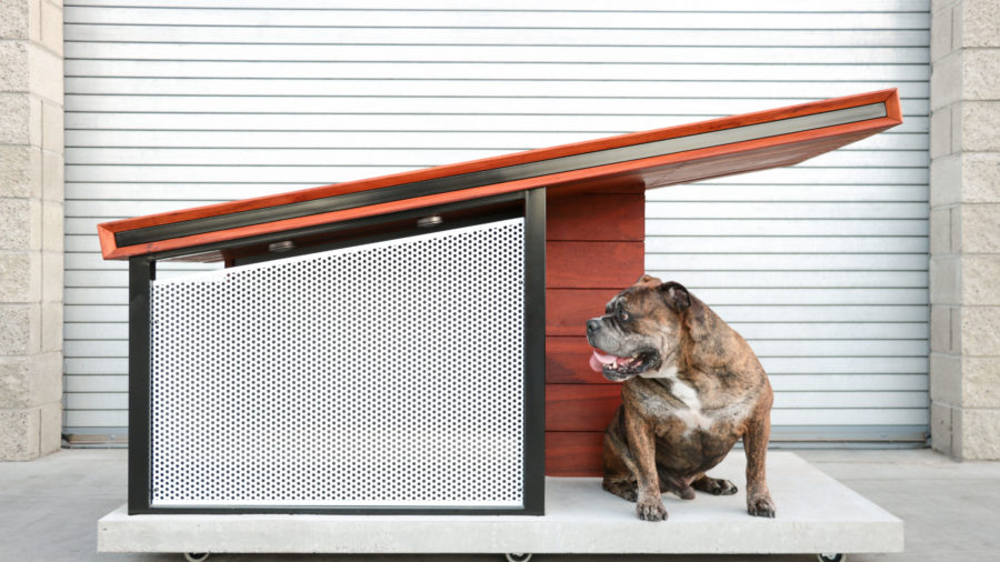 Cool dog outlet kennel