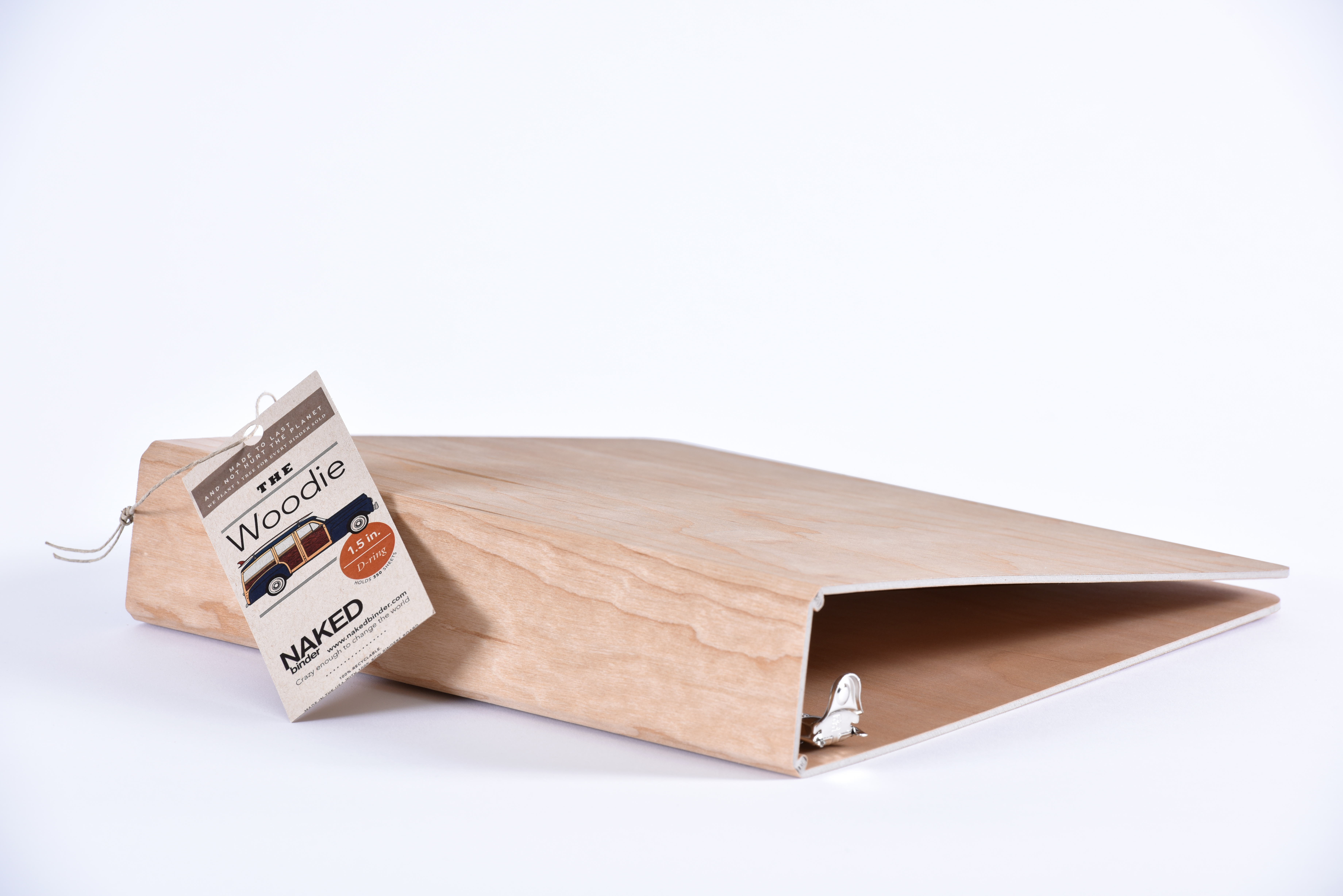 more-than-a-basic-binder