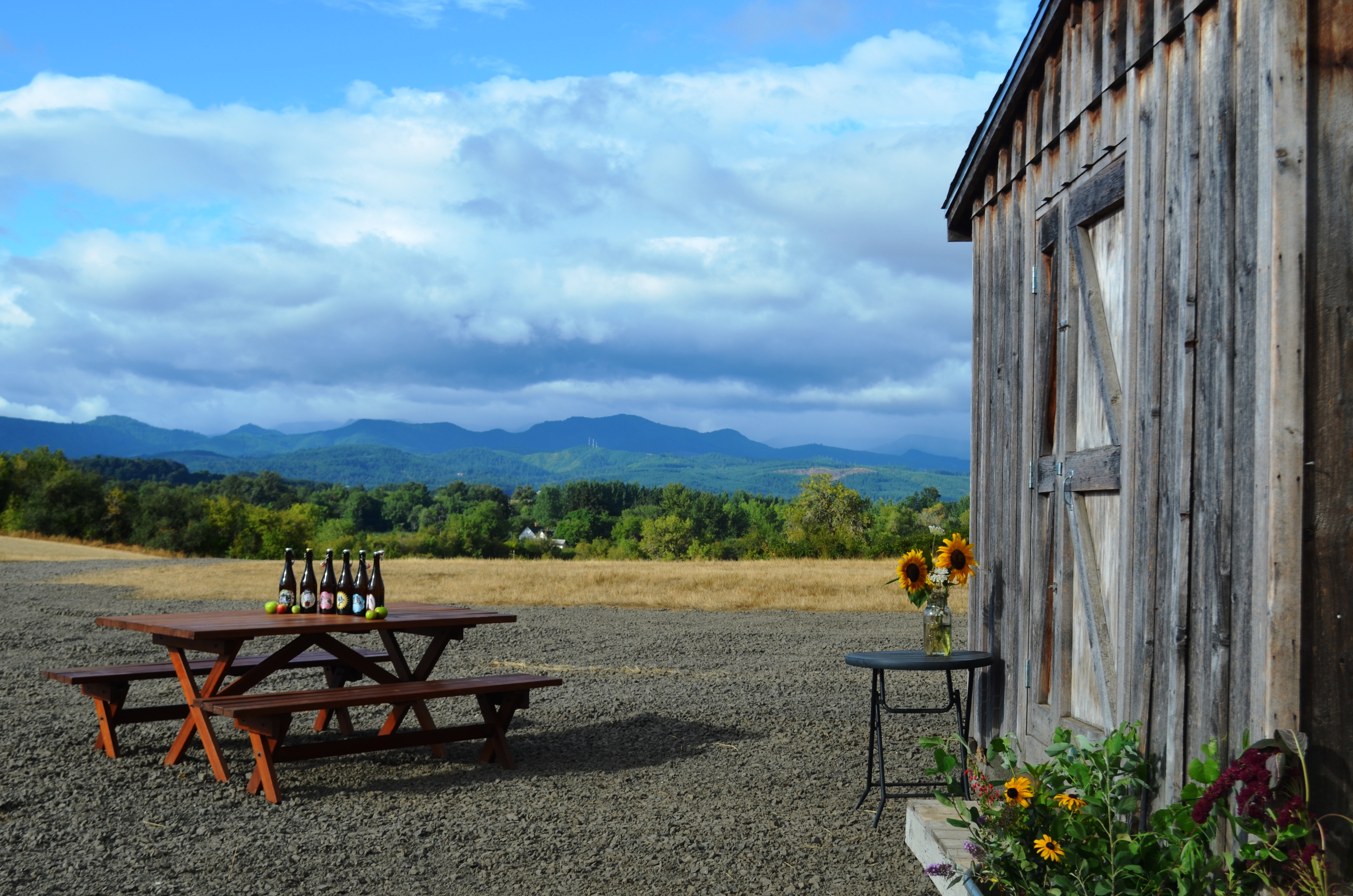 art-science-cider-wine-yamhill-county-or
