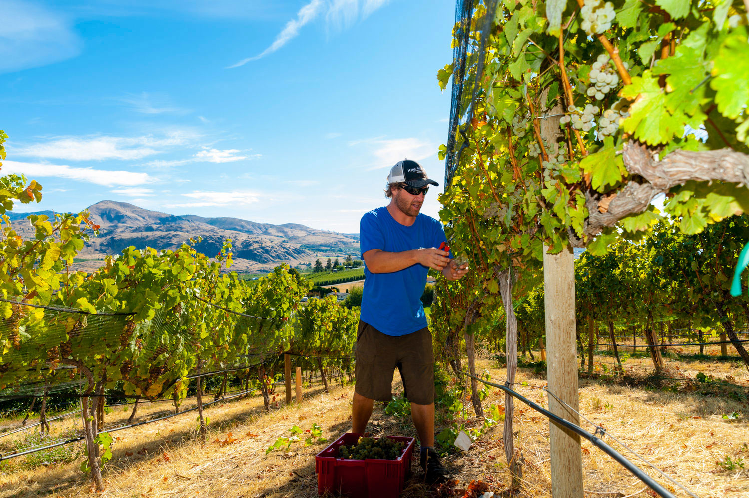 help-out-with-the-day-to-day-in-washington