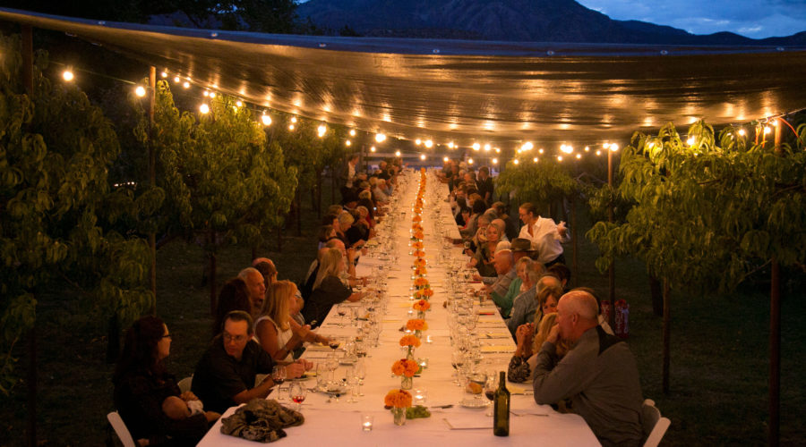 Winery harvest dinner in the vineyards under twinkling lights in Colorado