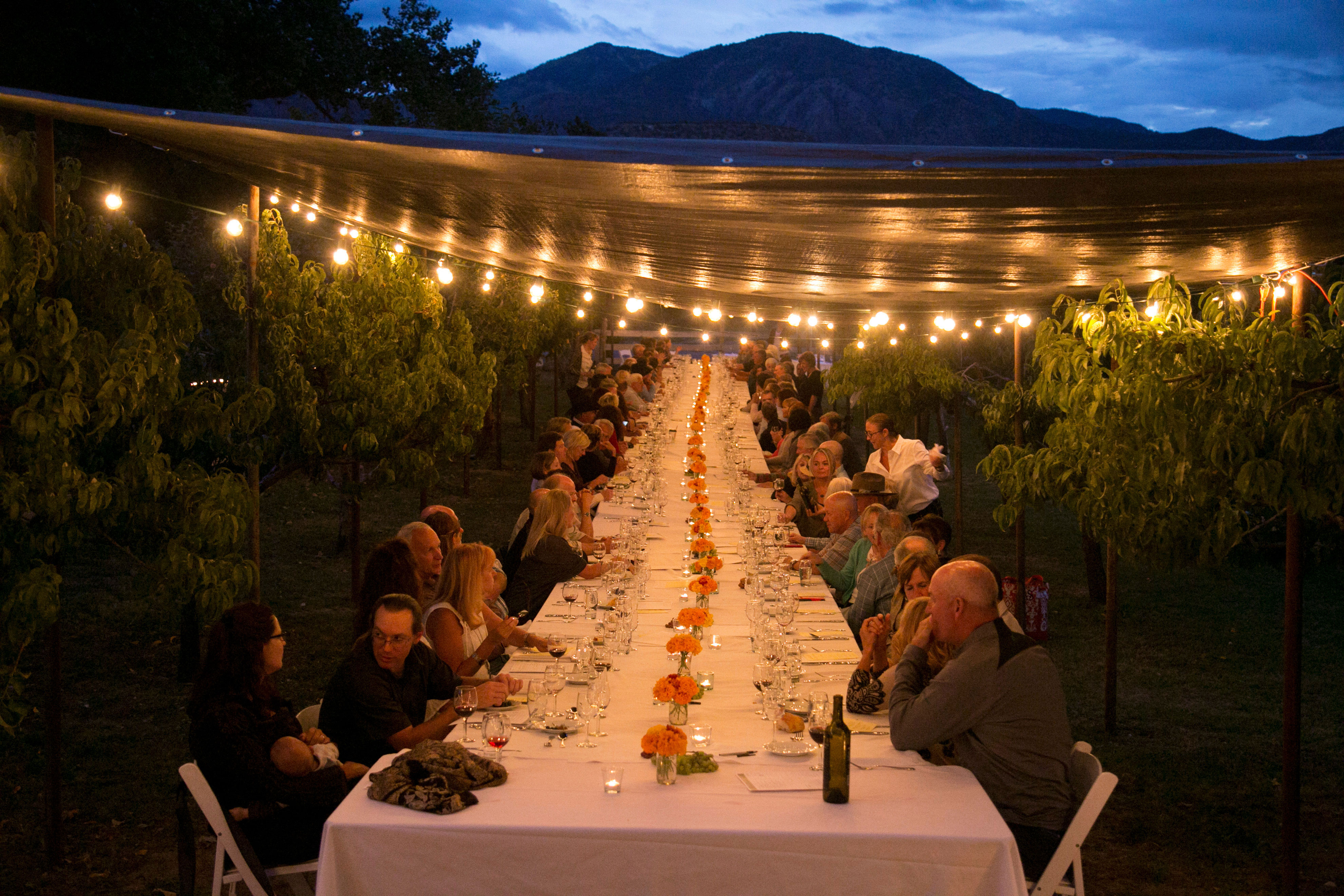 gather-in-a-vineyard-at-5000-feet