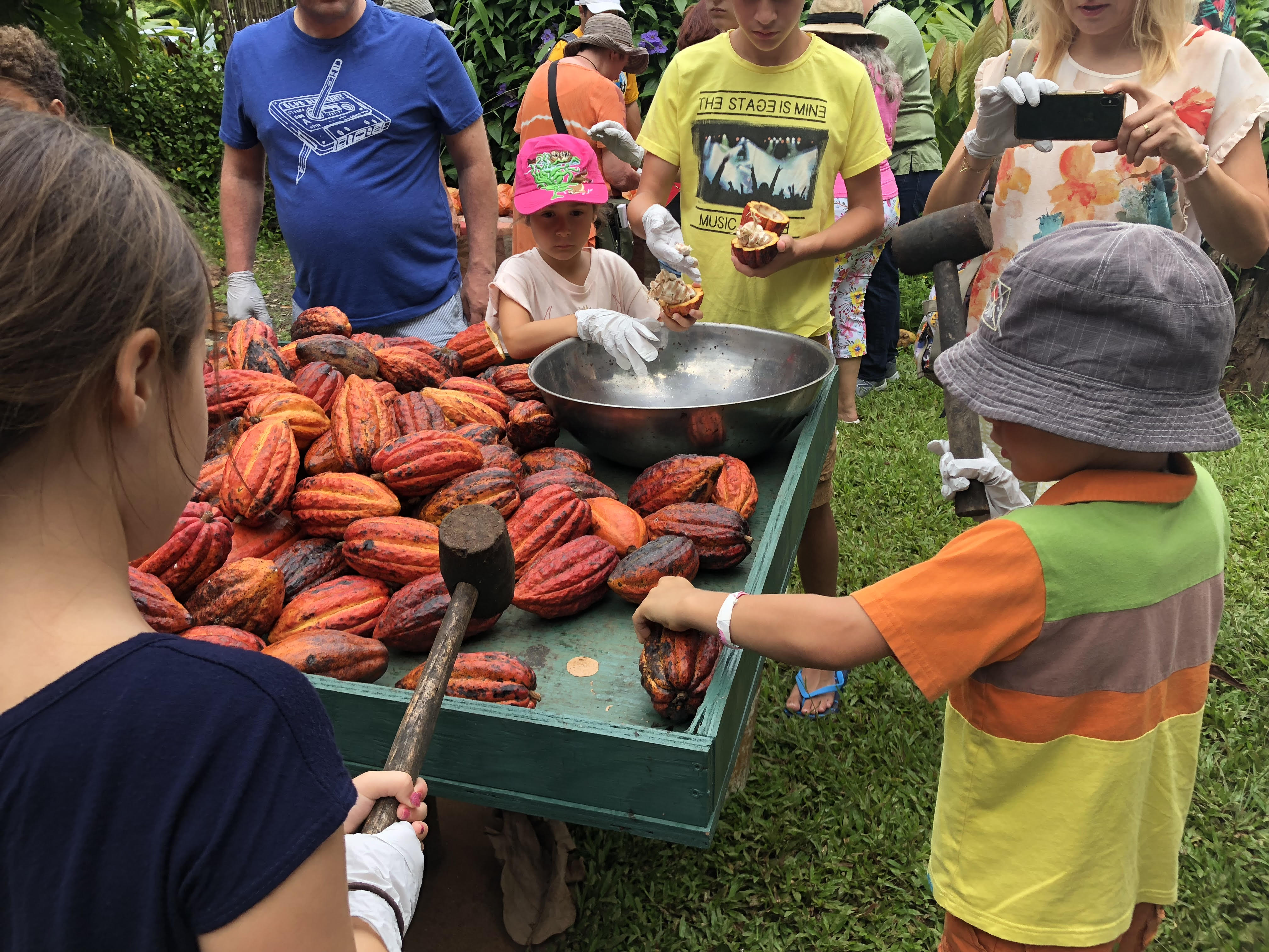 garden-island-chocolate-kauai-hi