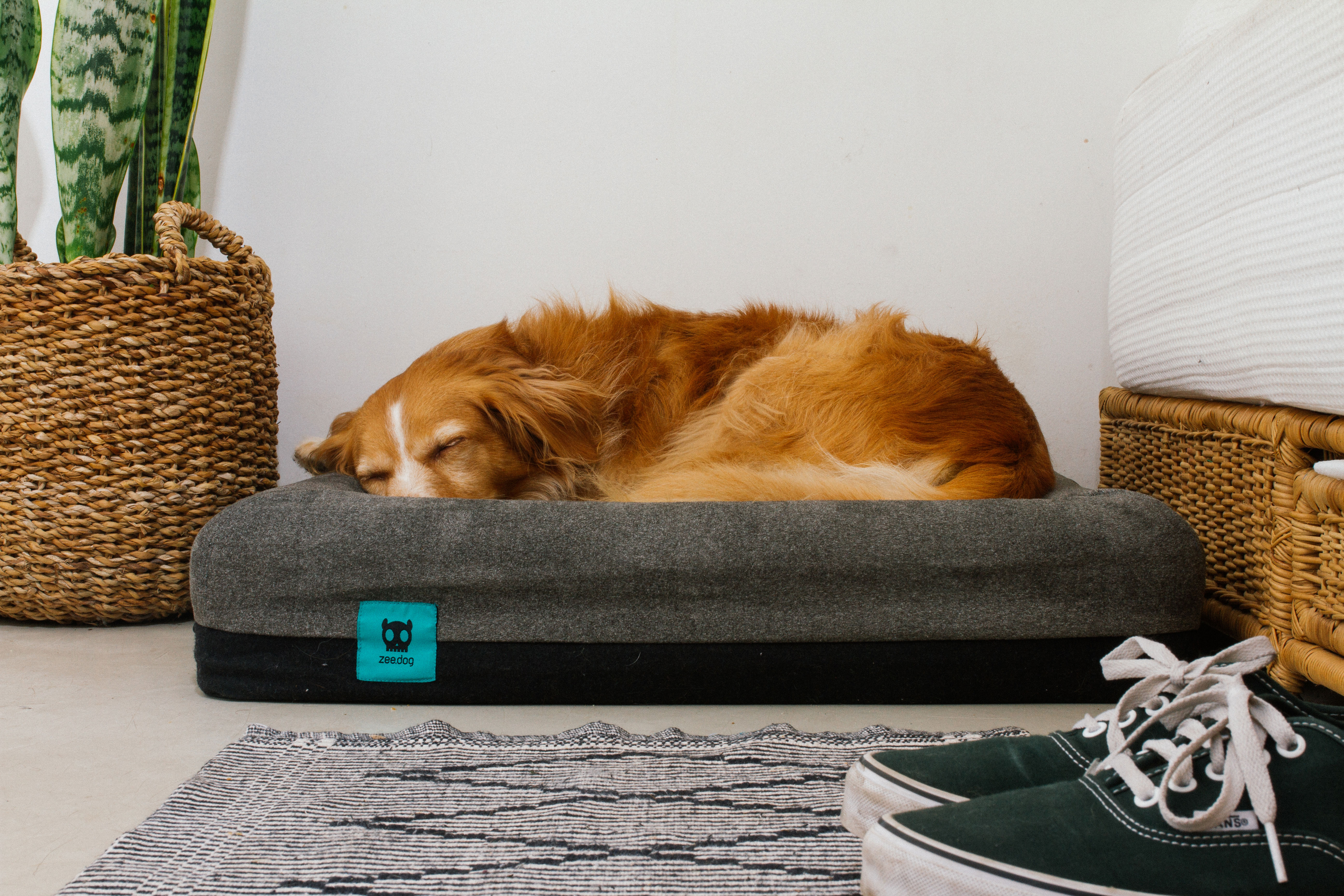 ergonomic-bed-in-a-box