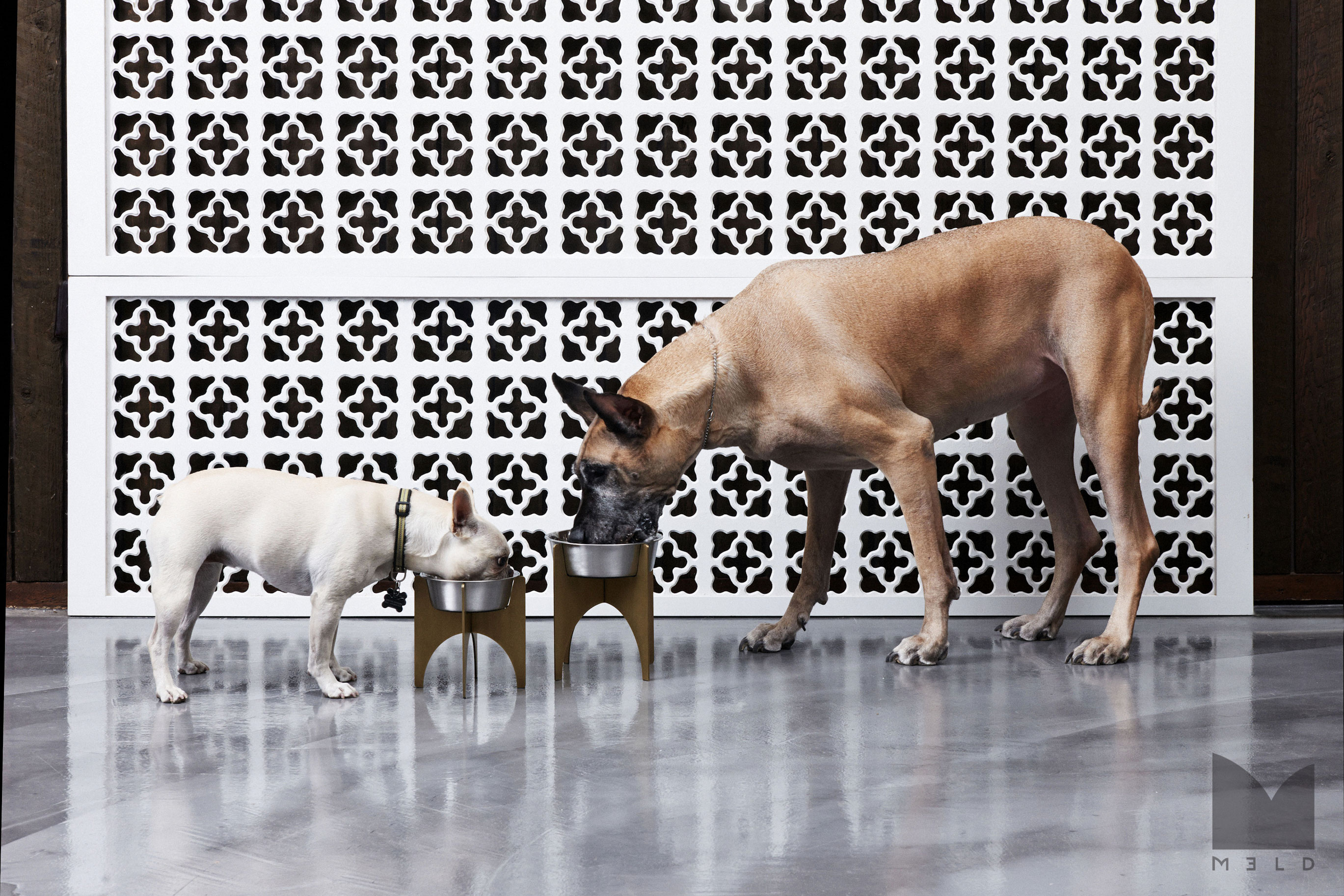 design-forward-feeder