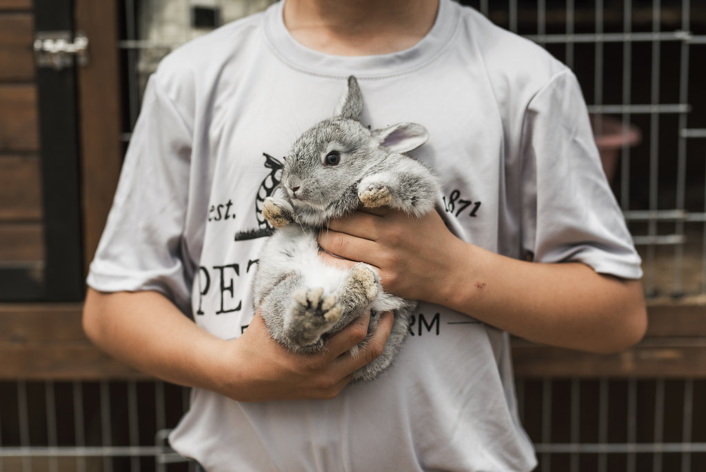 petersen-family-farm-riverton-ut