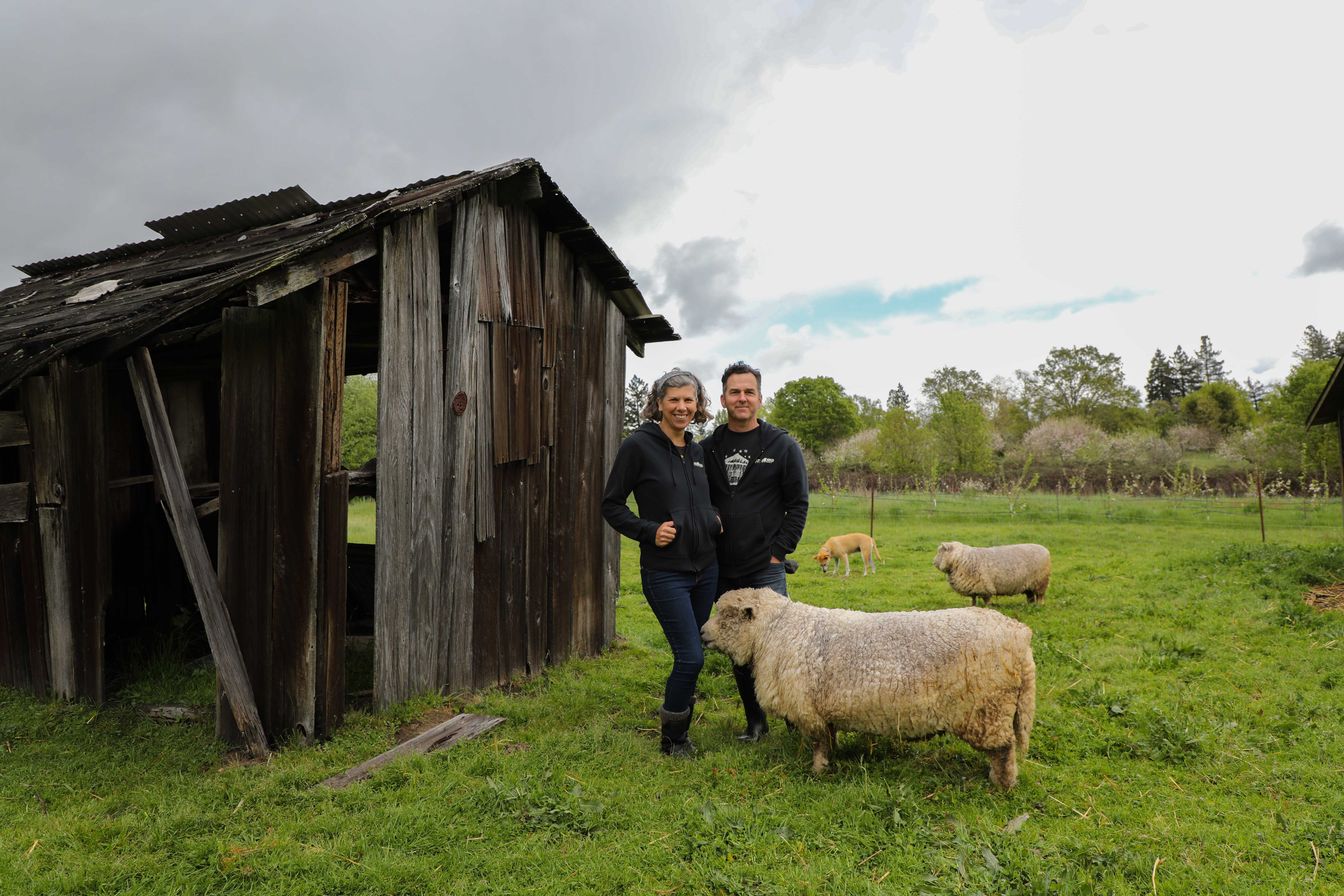 tilted-shed-sonoma-county-ca