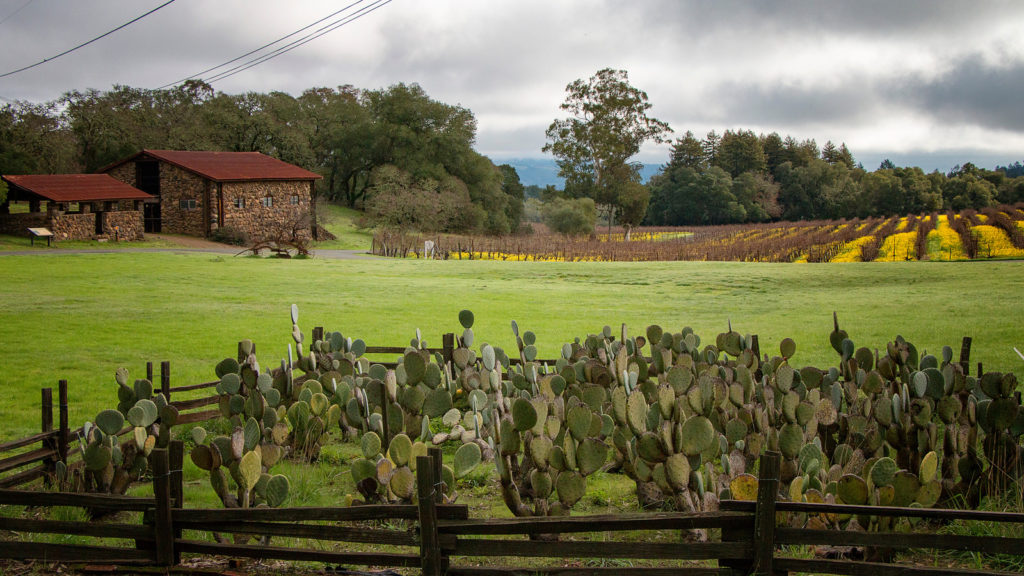 Bask in Jack London’s Sonoma Dream
