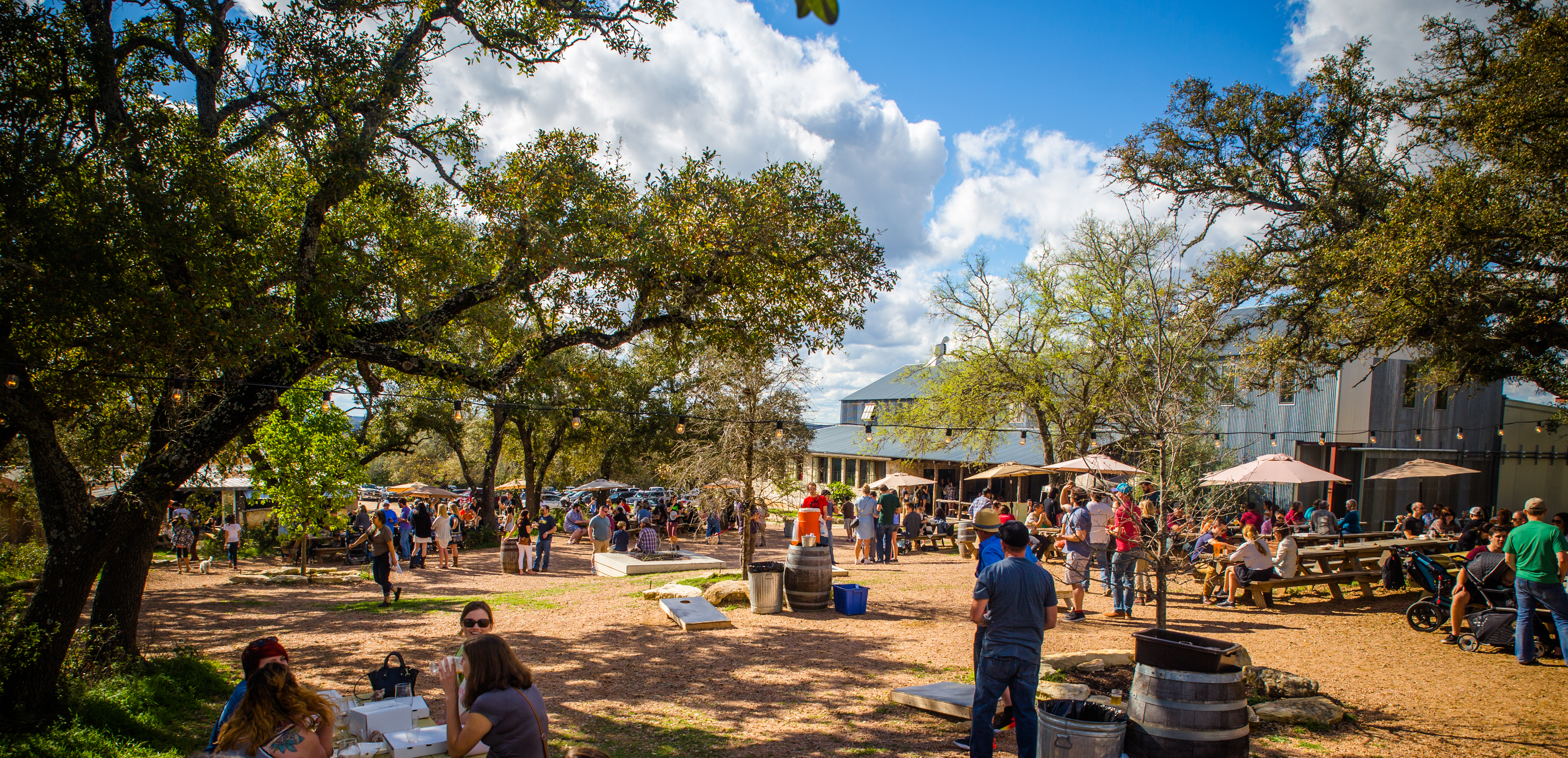 jester-king-brewery