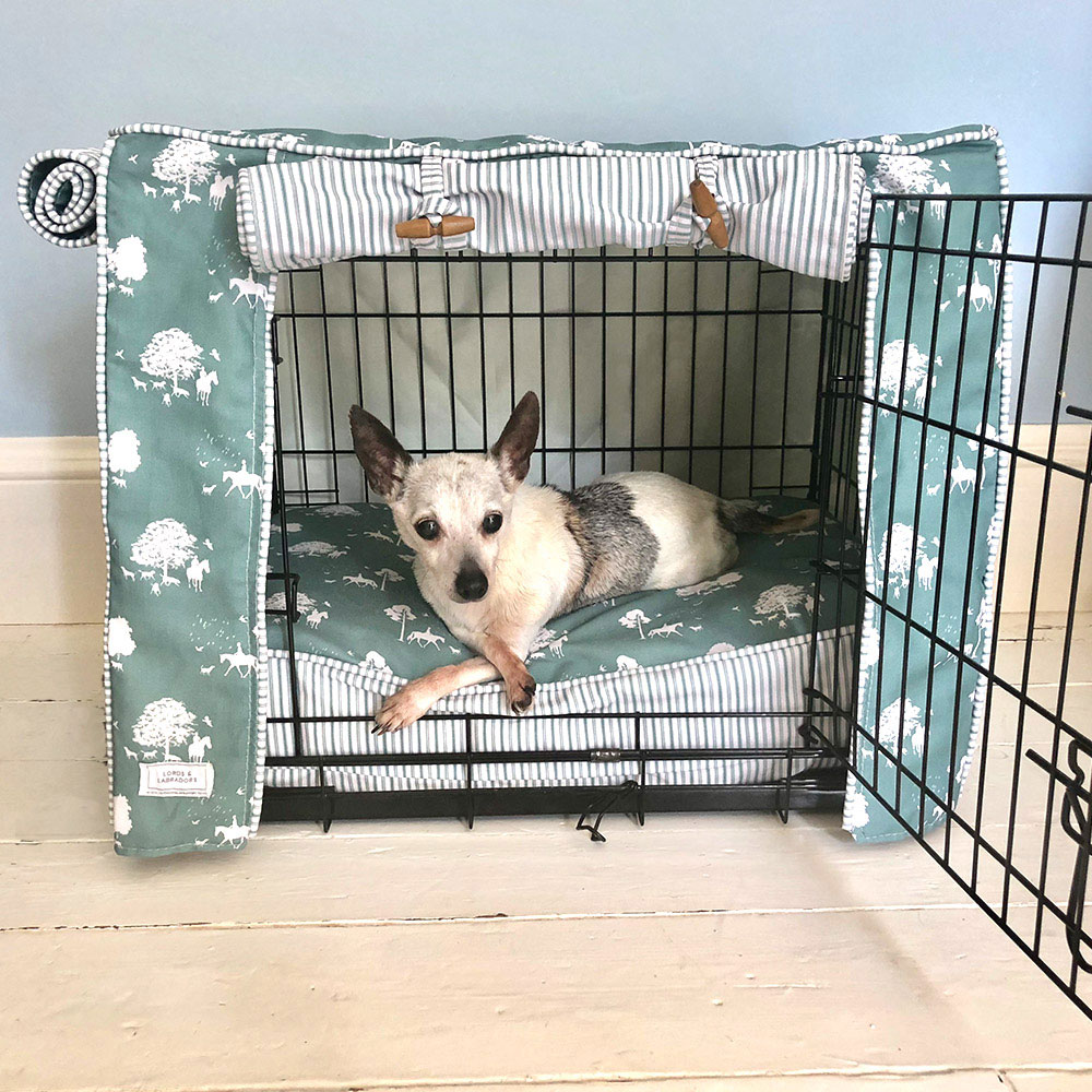 whimsical-wire-crate