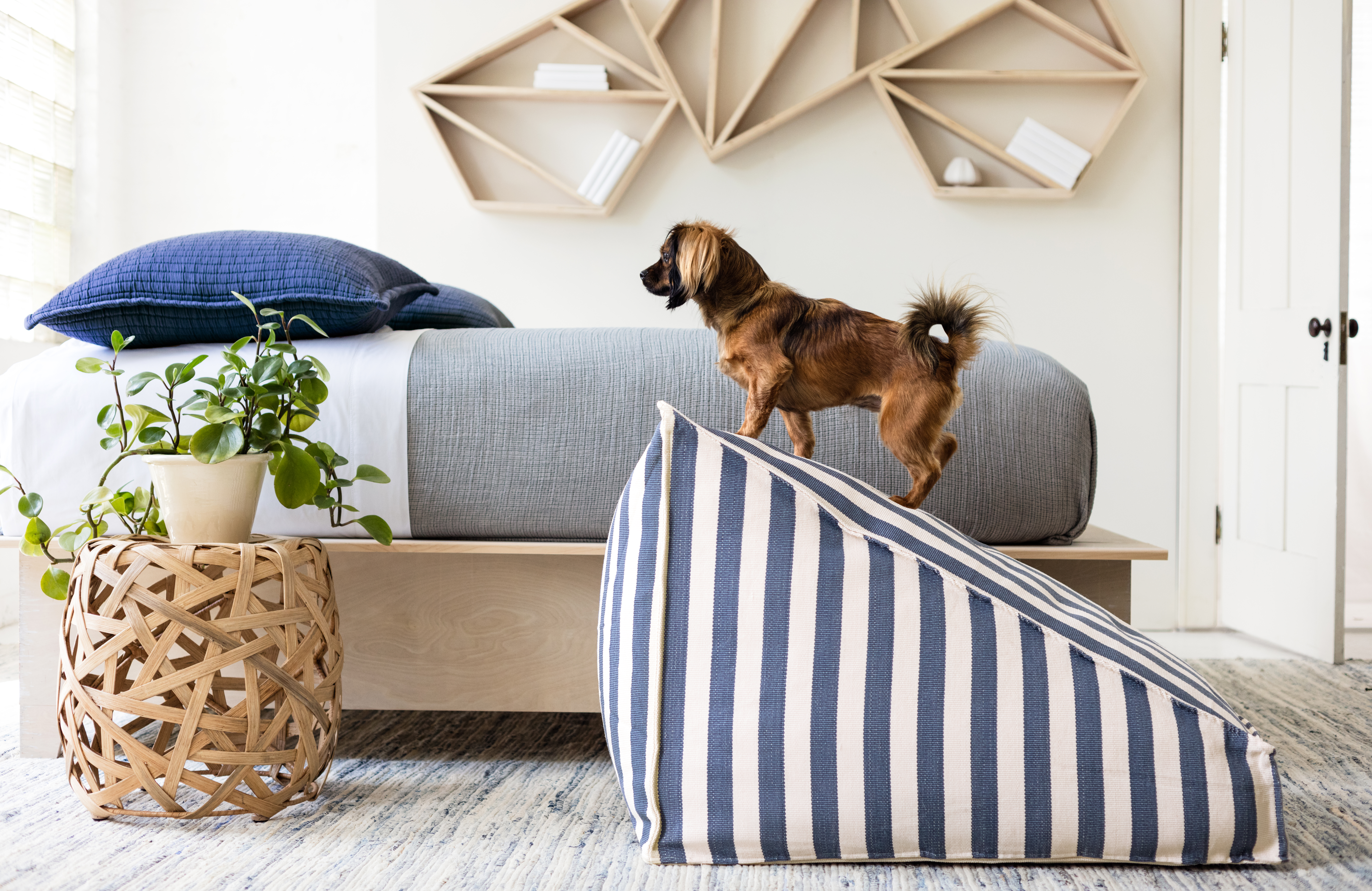 swap-for-the-right-rugs