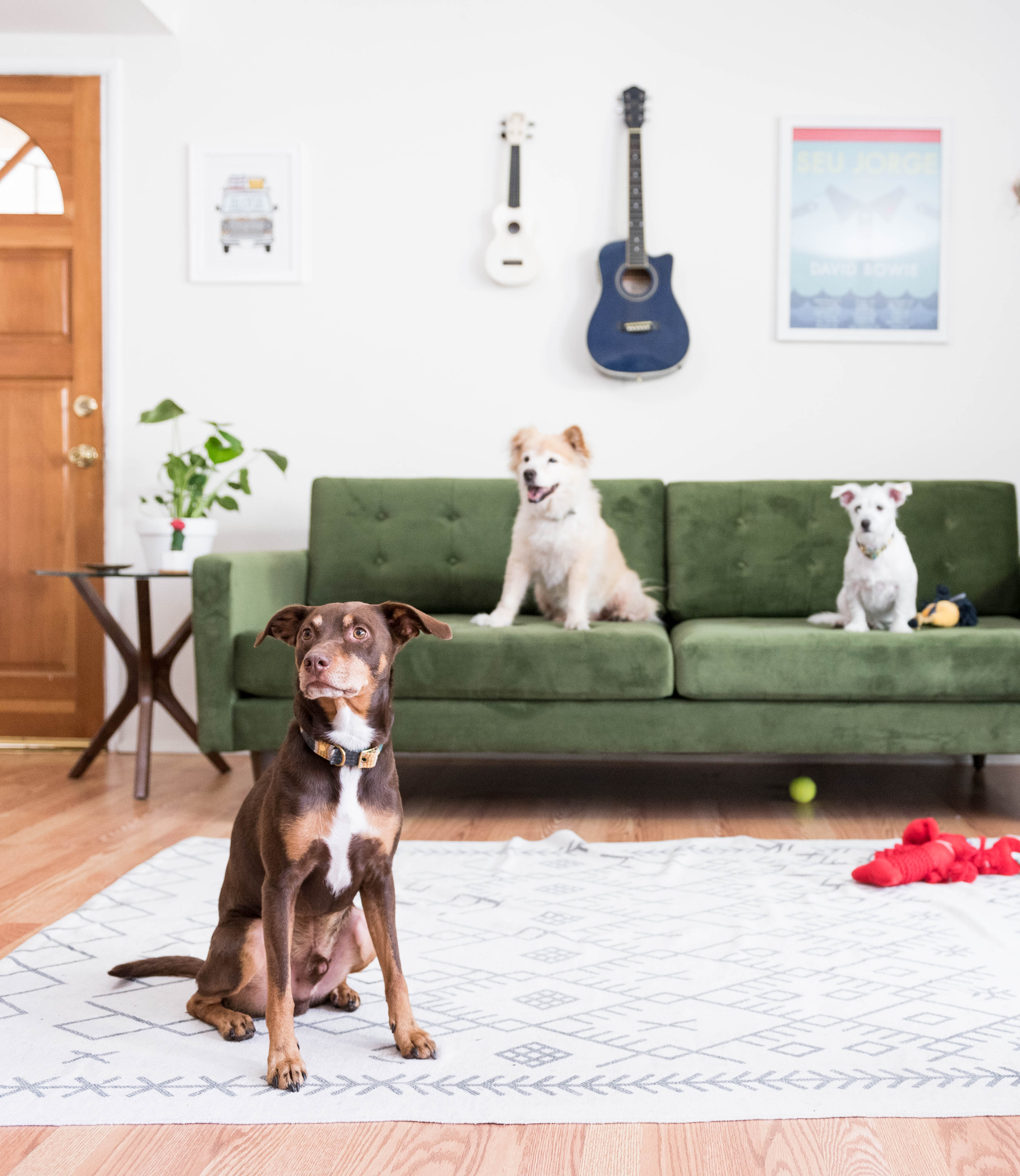 find-the-right-upholstery-fabric