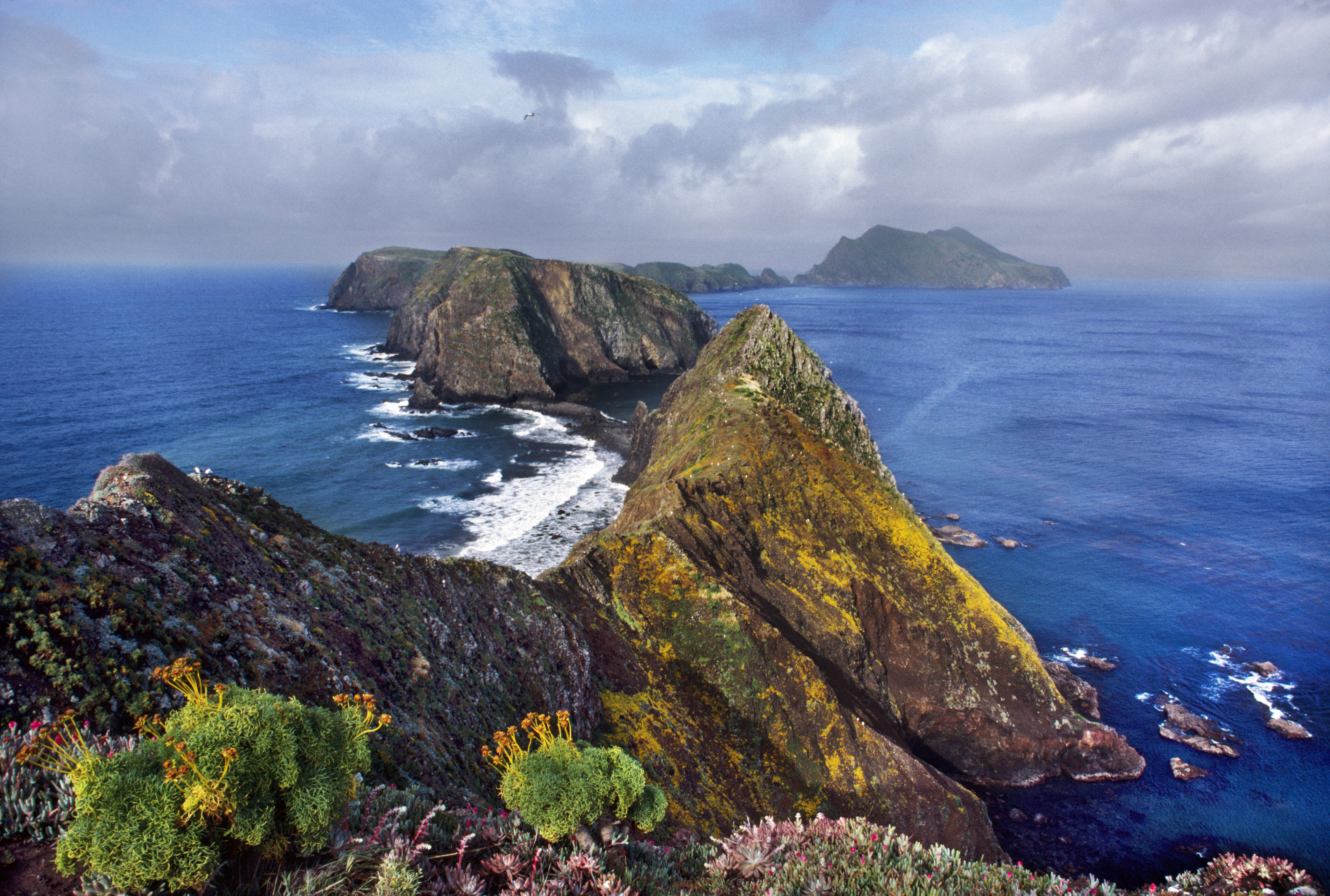 channel-islands-n-p-ca