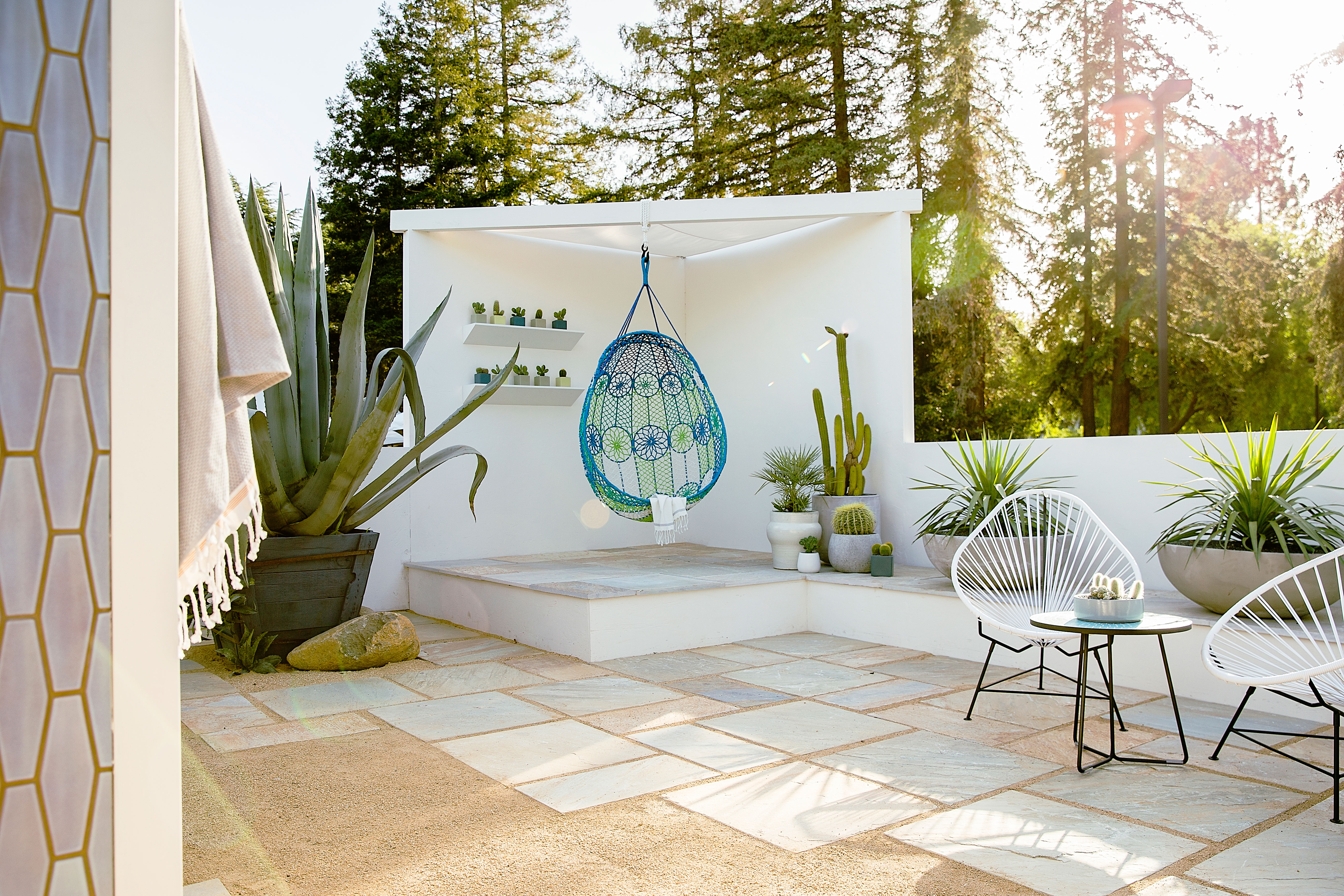 agave-americana-century-plant