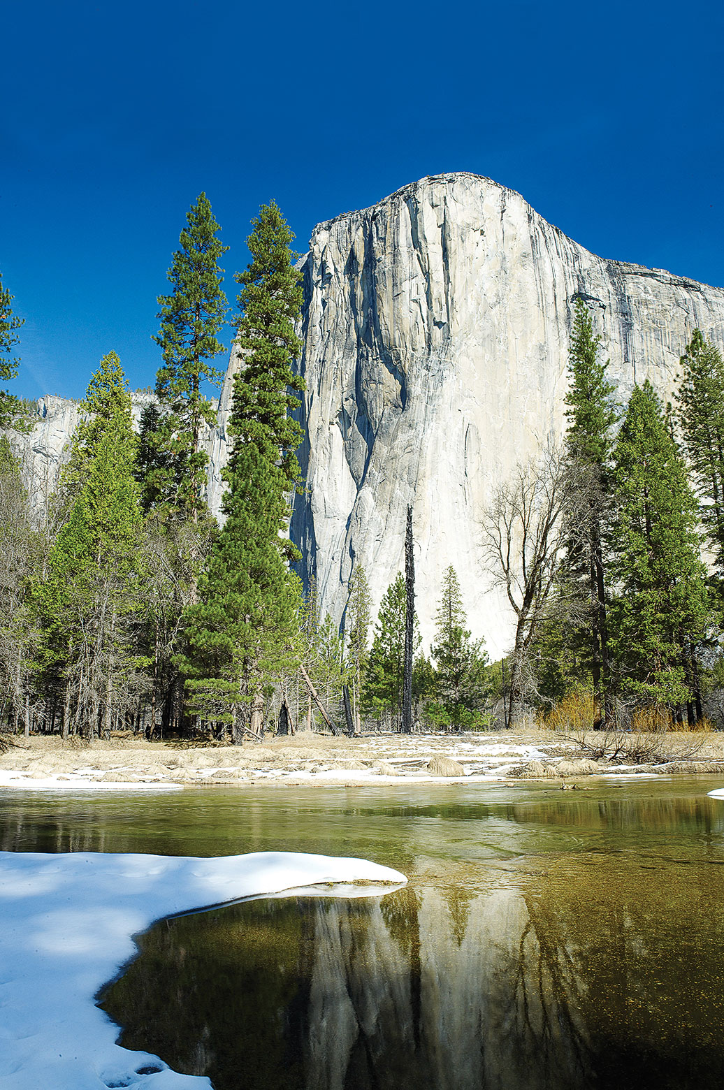 yosemite-n-p-ca