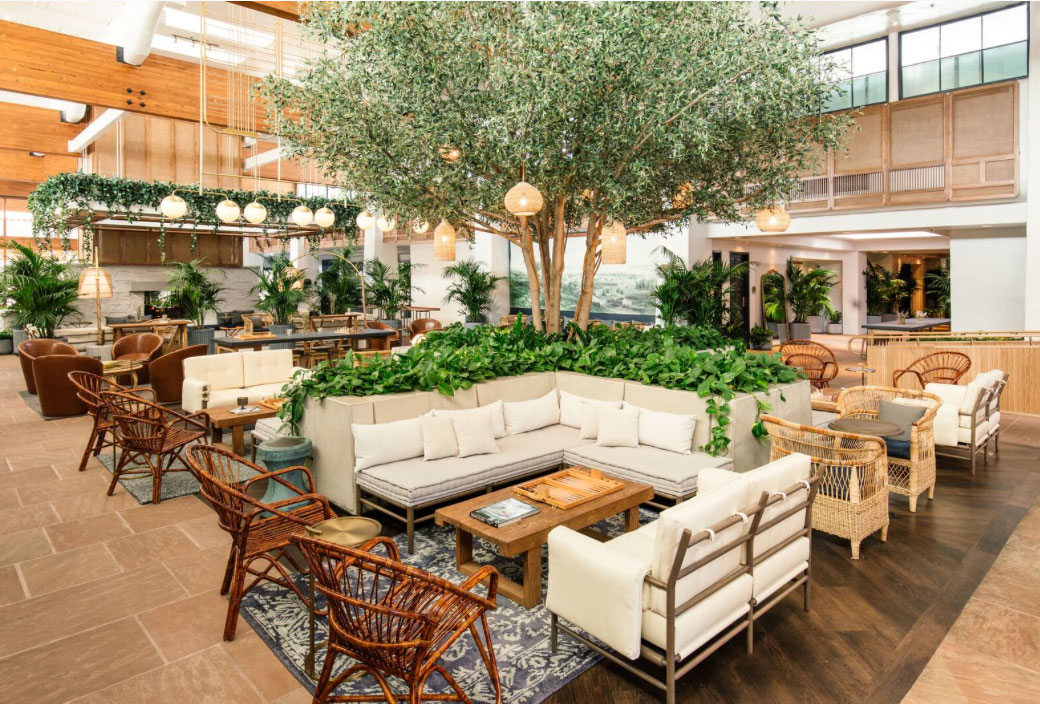 the-scott-resort-scottsdale-az