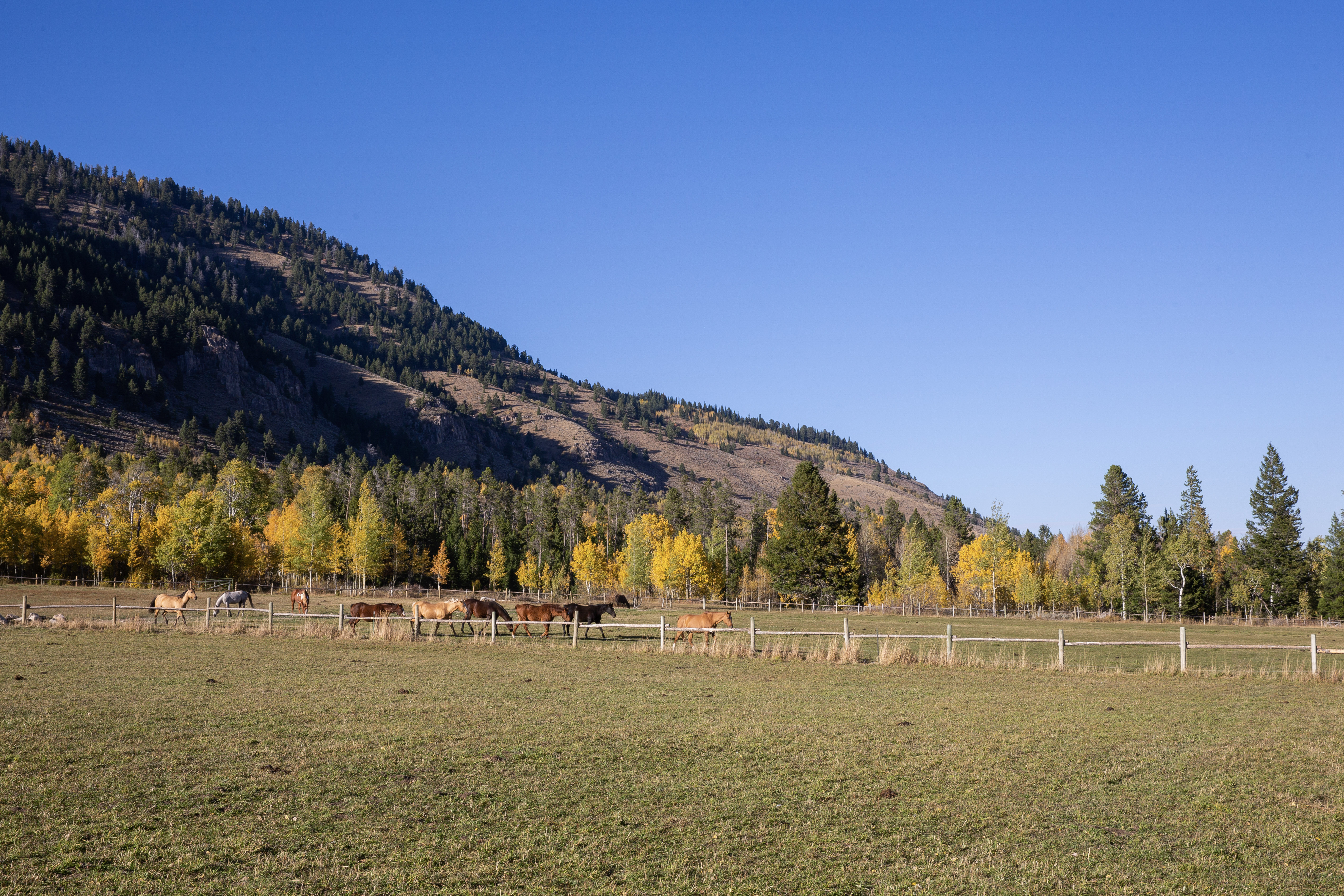 seek-a-beautiful-outdoor-setting