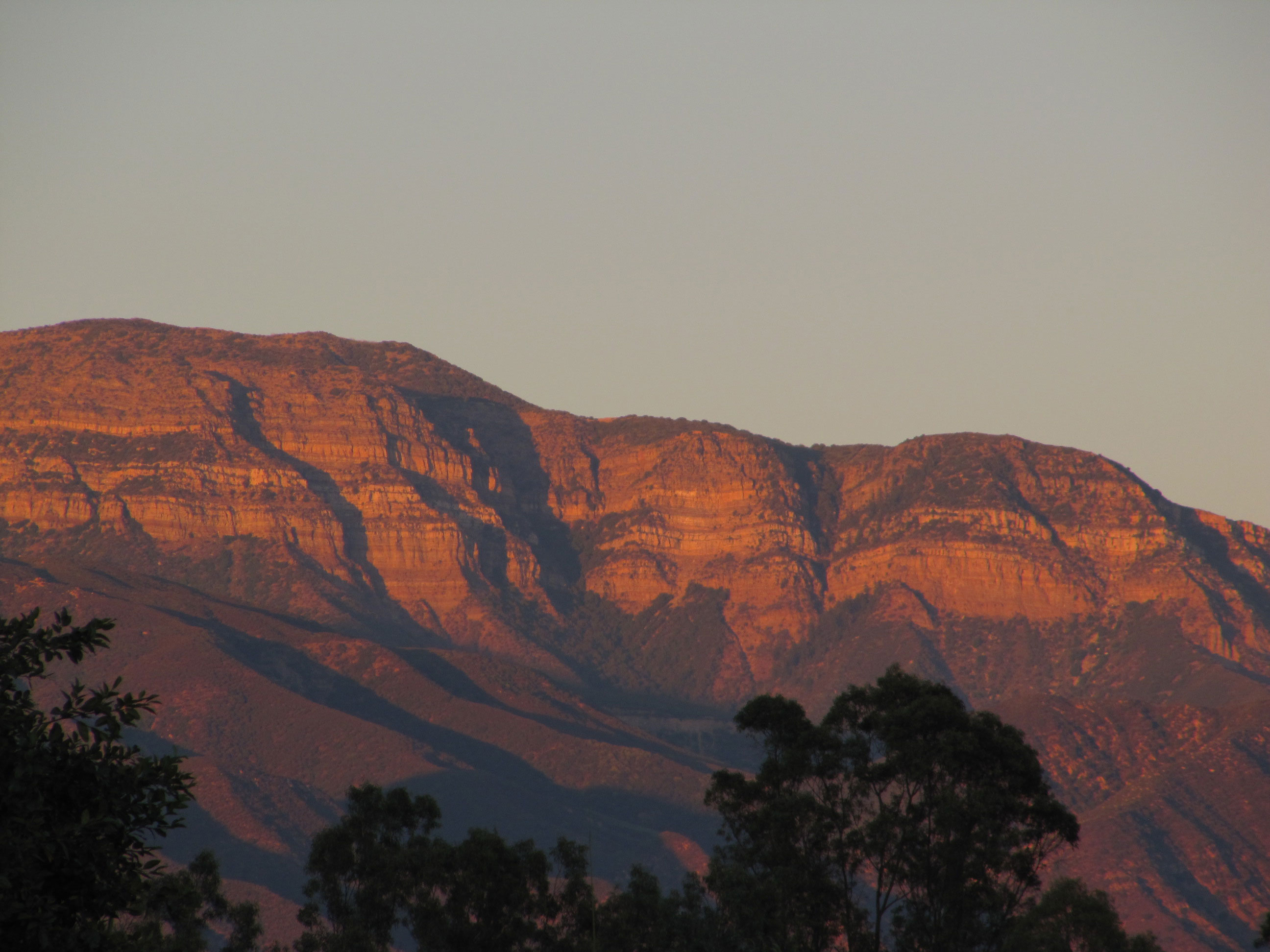 take-in-the-iconic-pink-moment