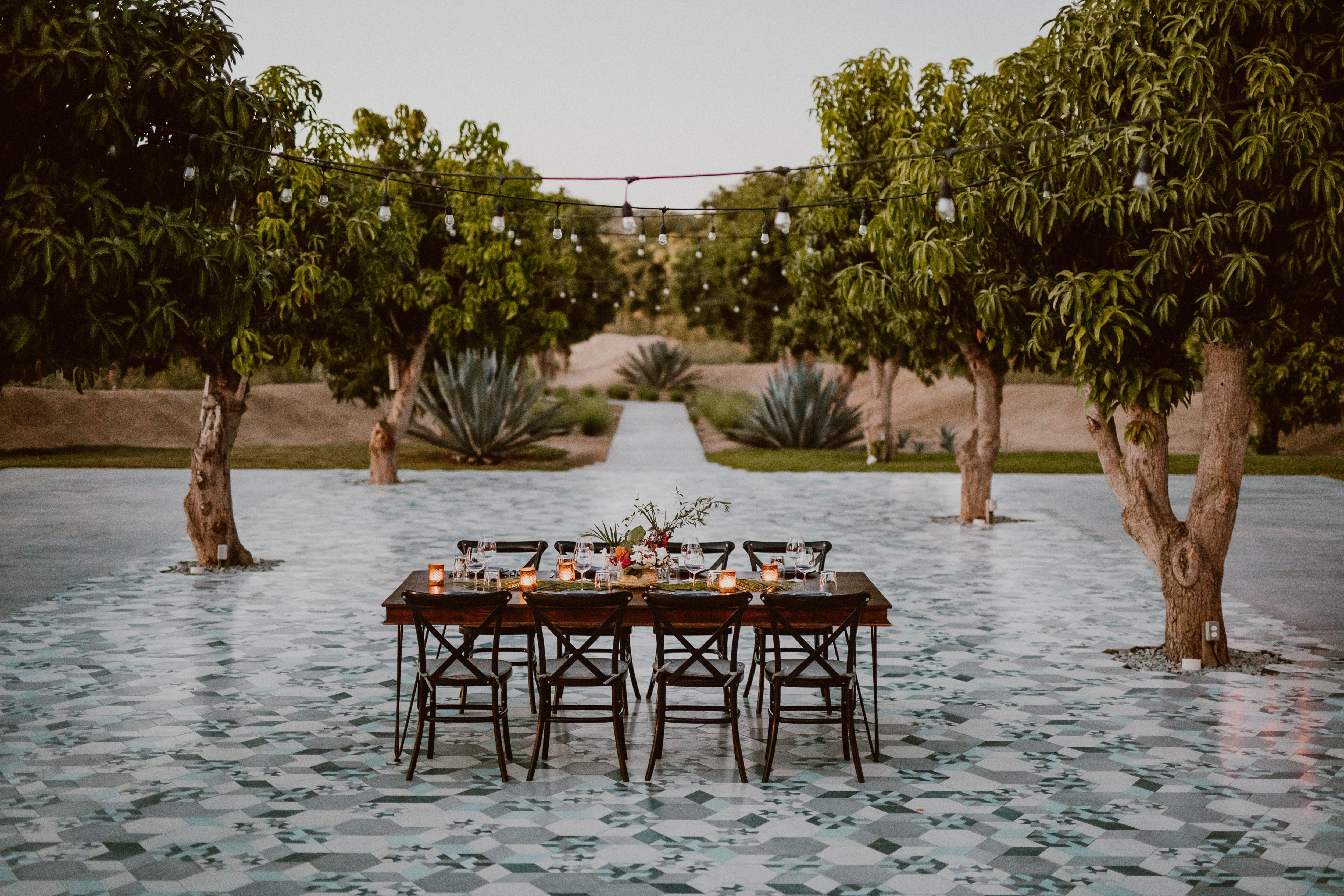 local-farms-double-as-design-hubs