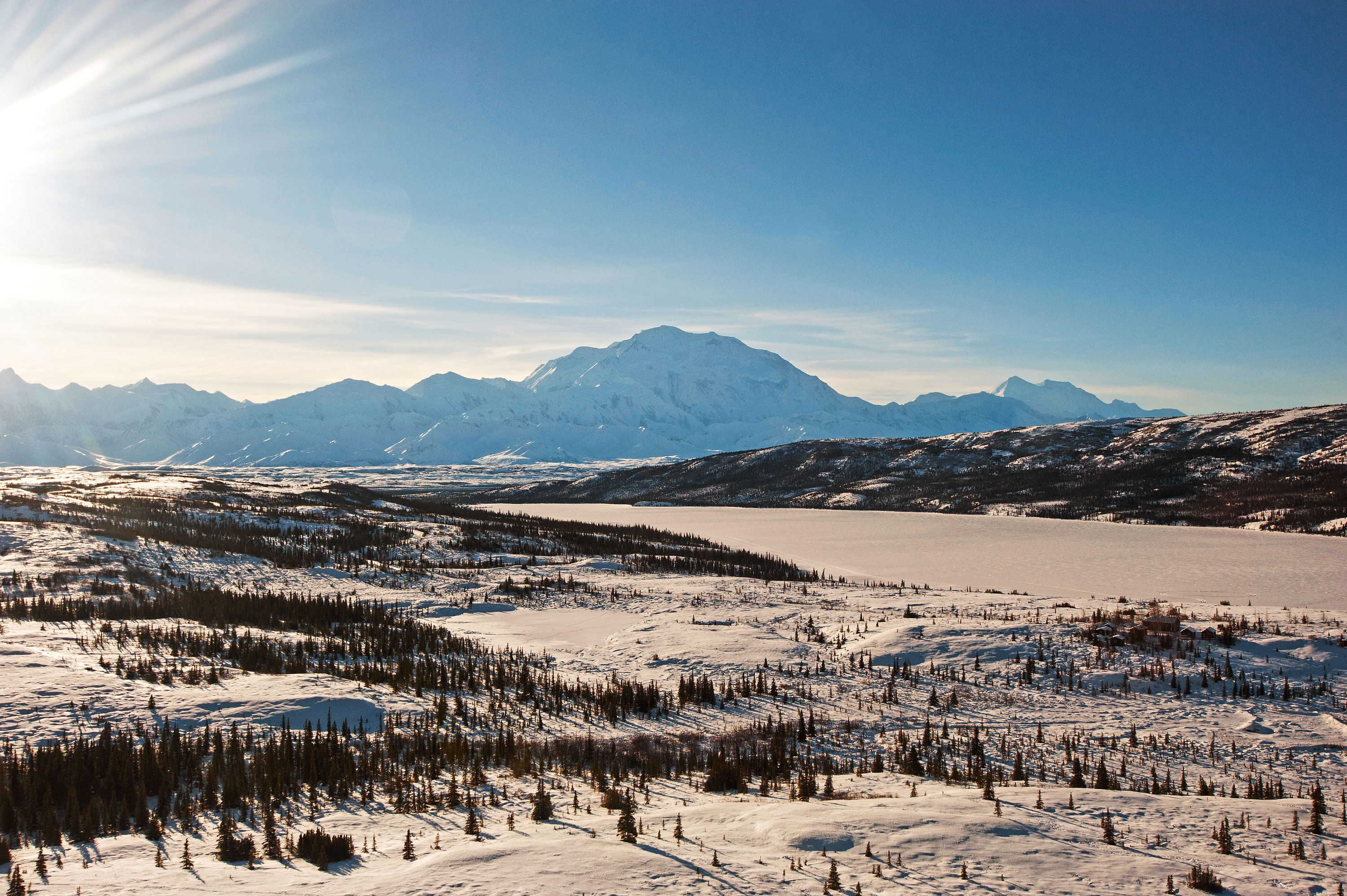 easy-day-trip-to-denali