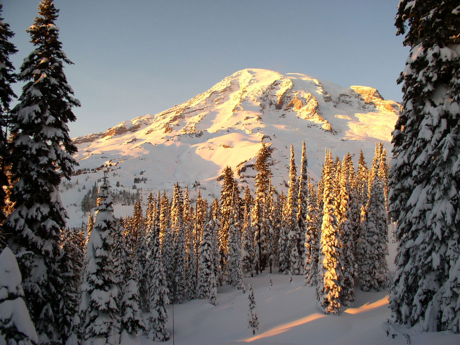 magical-sledding-in-mount-rainier