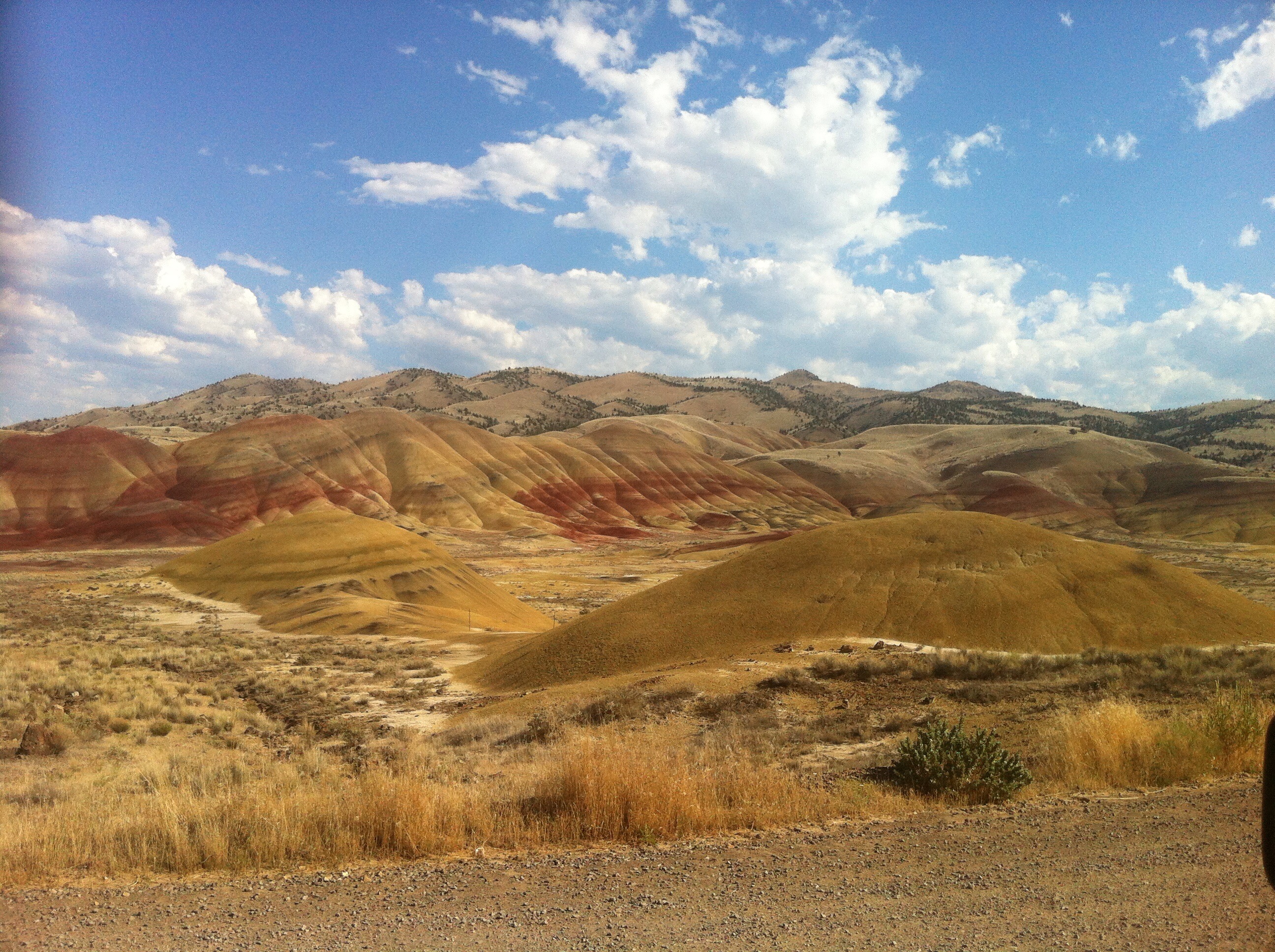 a-taste-of-vanlife-in-the-pnw