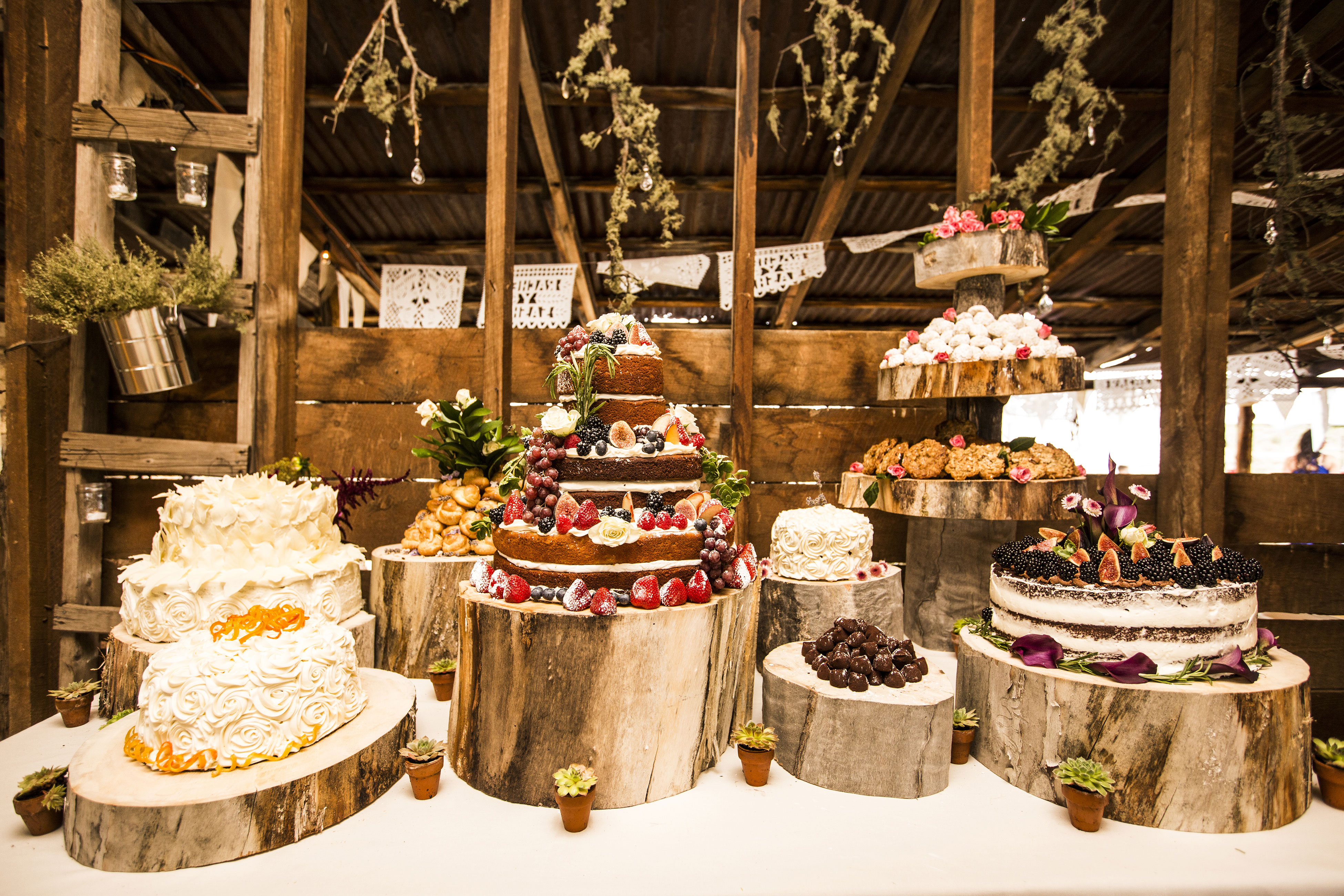 taos-goji-farm-and-eco-lodge-san-cristobal-nm