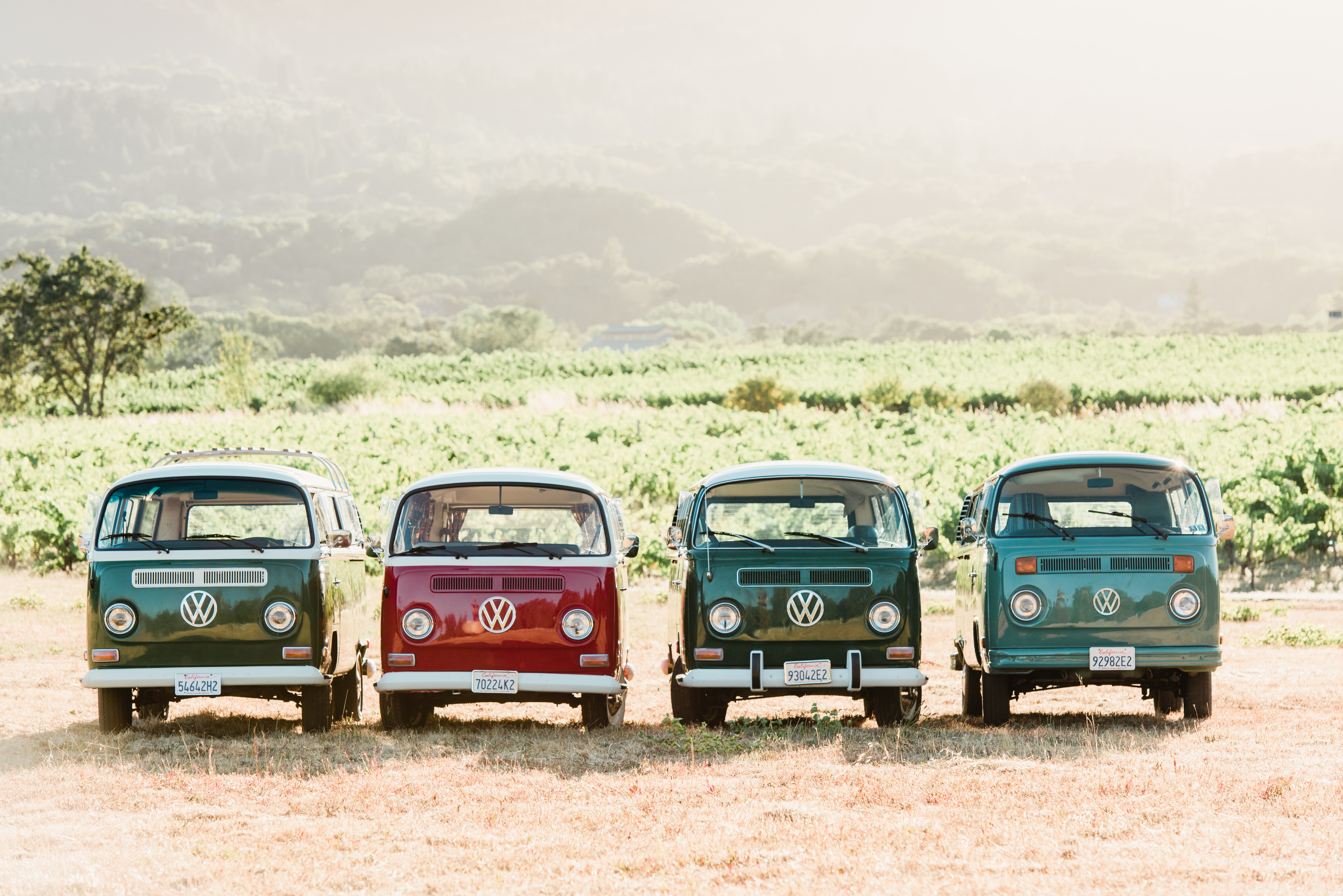 winery-hopping-in-a-vintage-vw