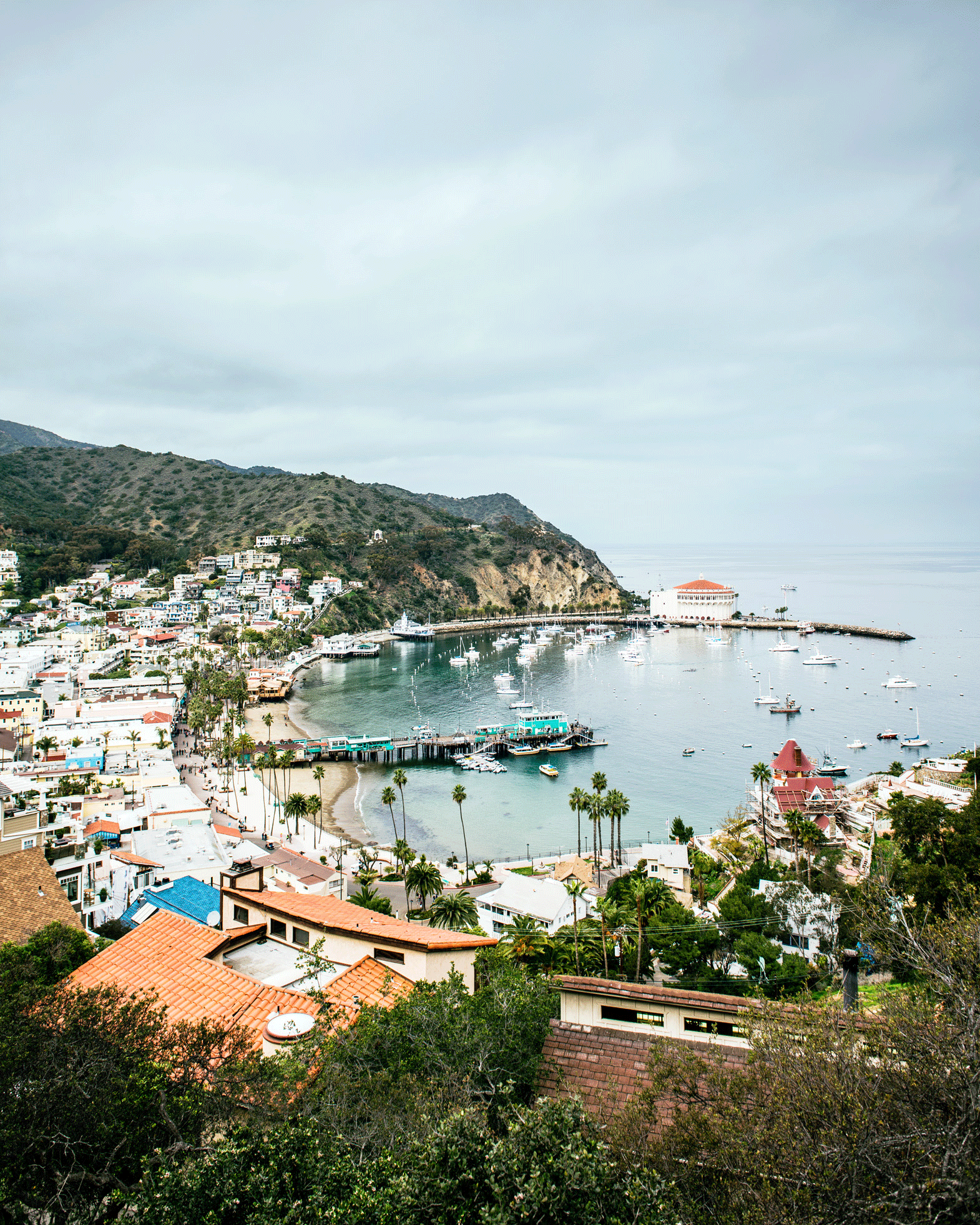 the-commute-is-awesome