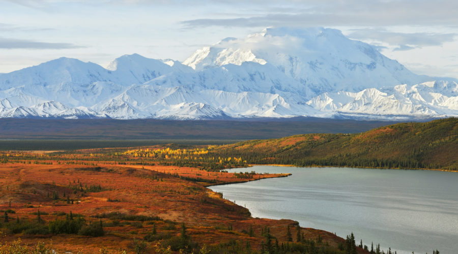 A Wilderness Cruise through Alaska