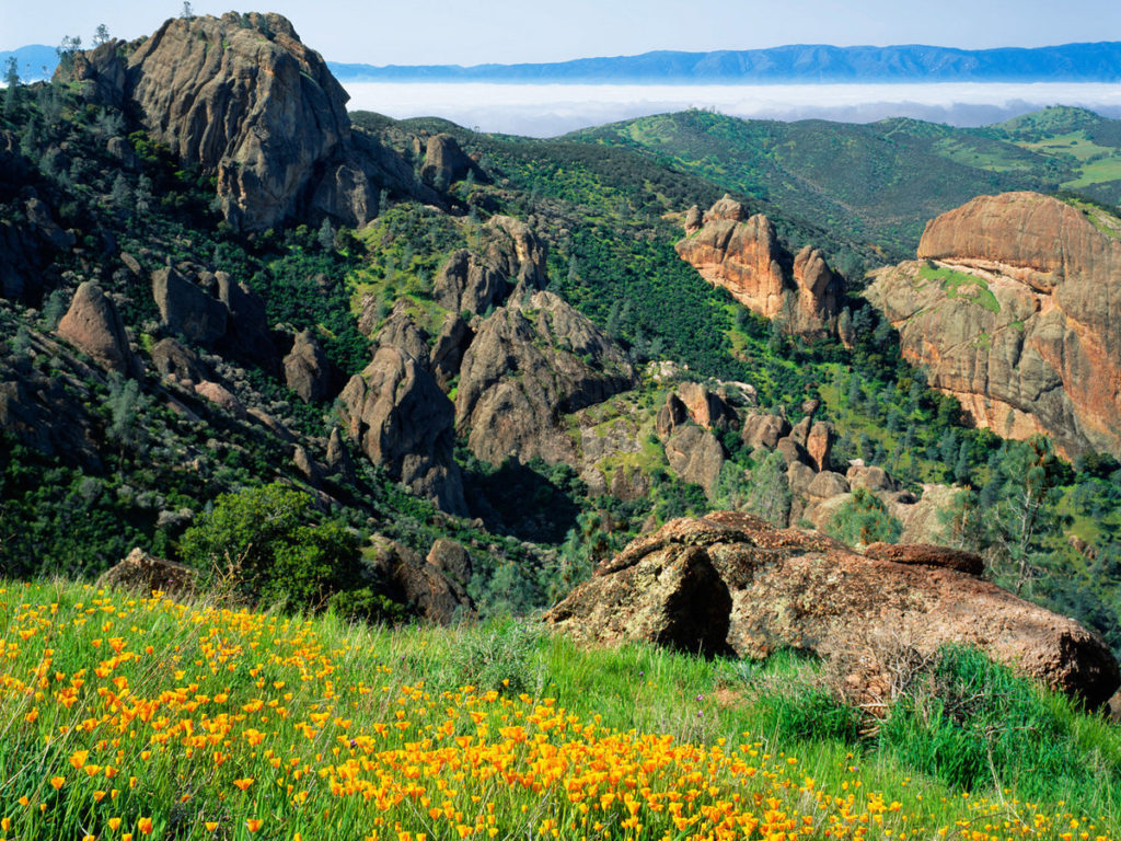 Pinnacles National Park, CA