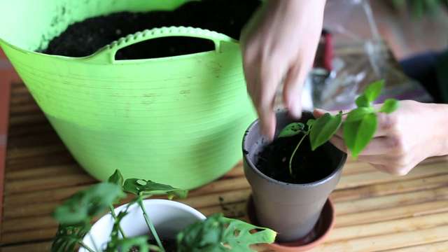 Find your U.S. Sunset climate zone