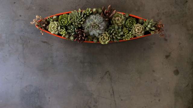 These Gorgeous Succulent Cakes Are a Plant-lover's Dream Come True 