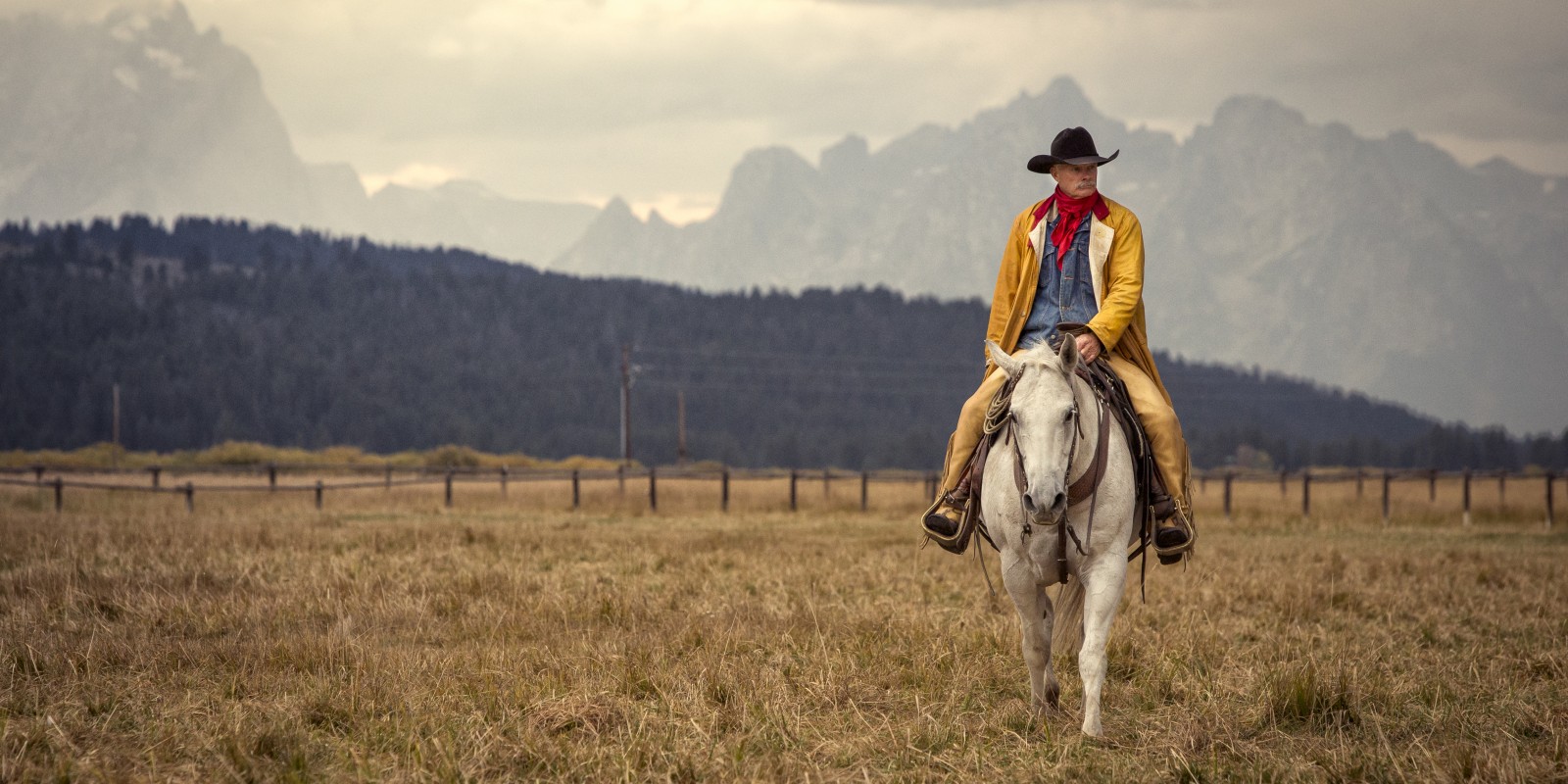 Wyoming cowboy