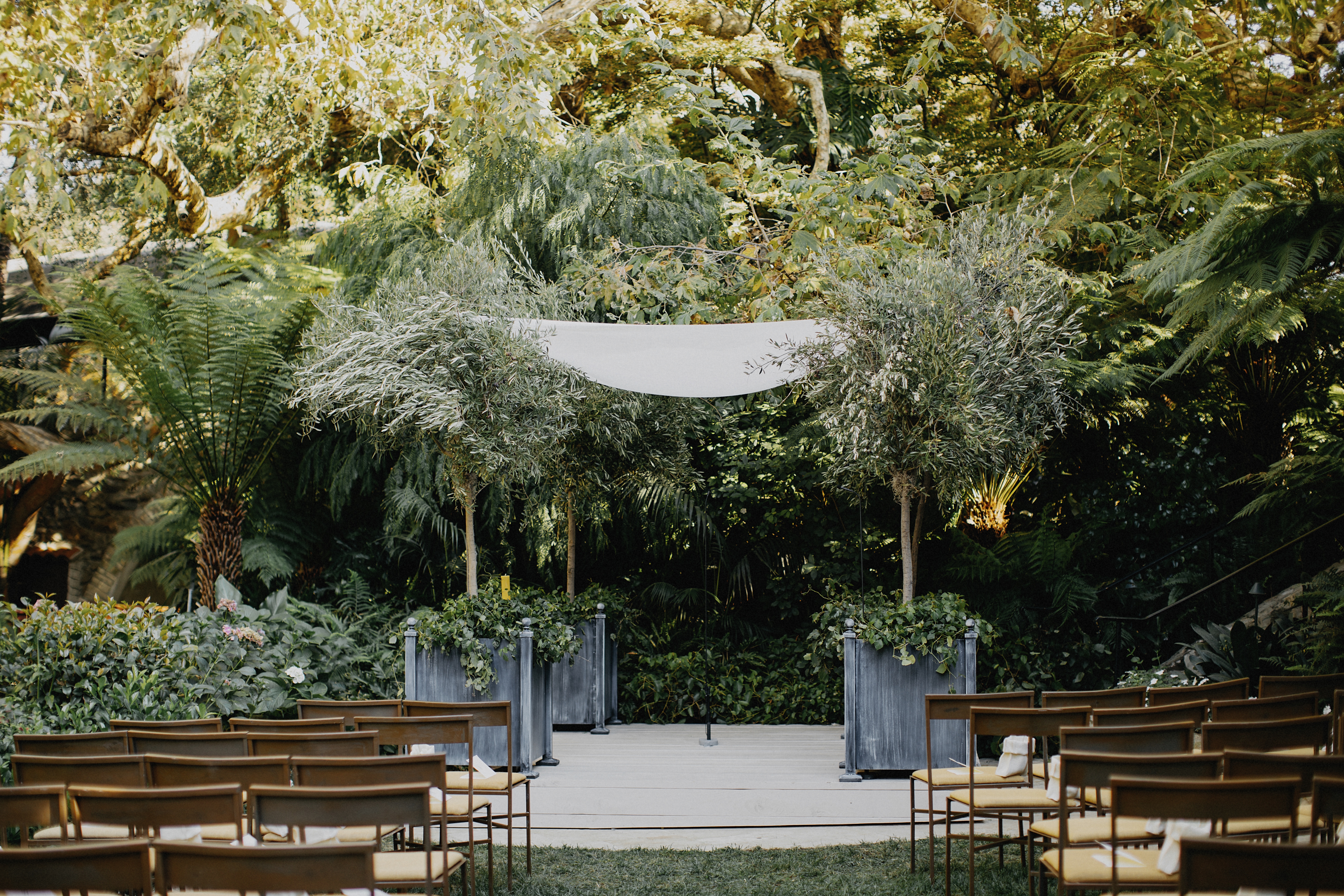 Affordable Wedding Setup