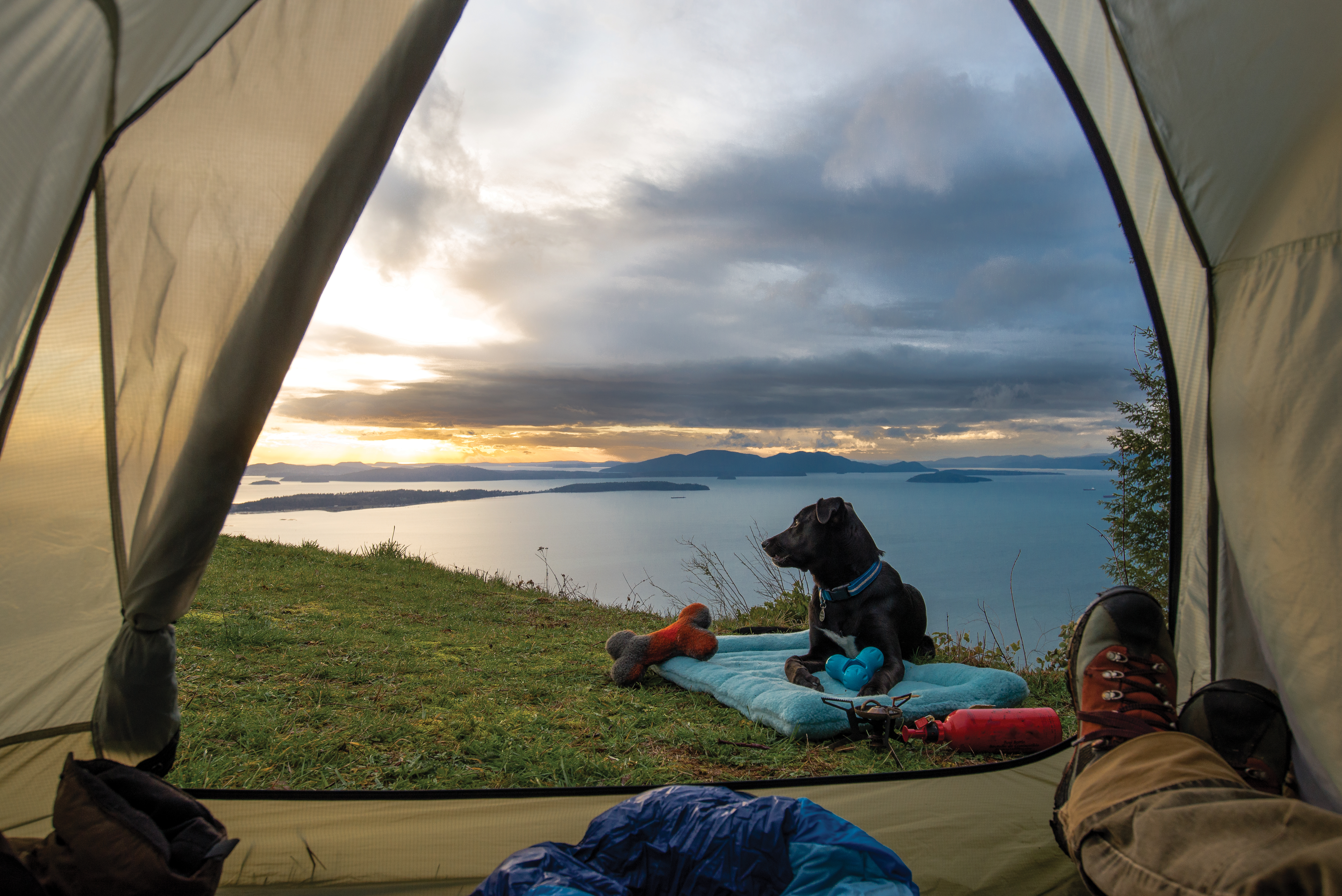 west-paw-montana-nap-dog-bed