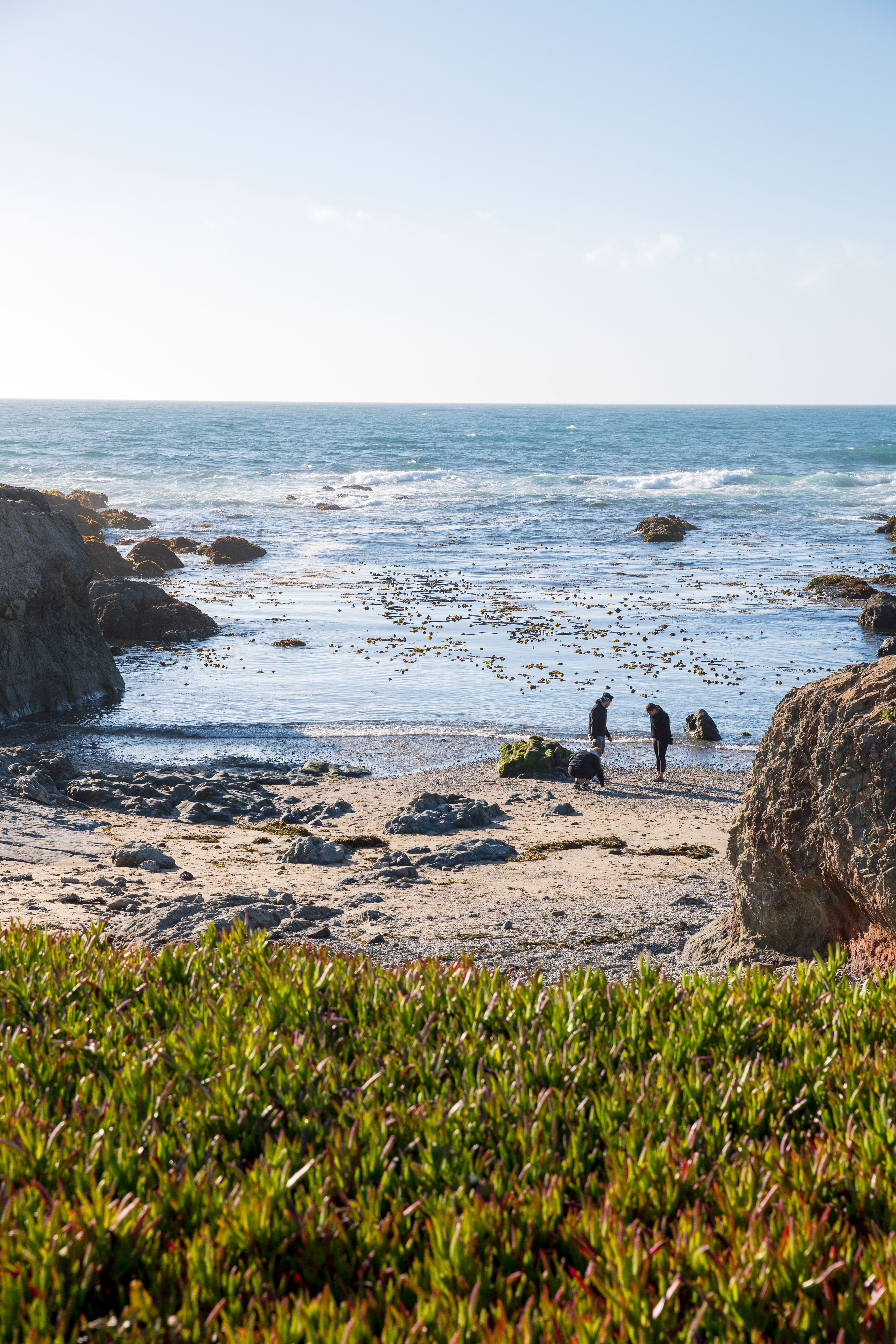 Mendocino Coast Road Trip
