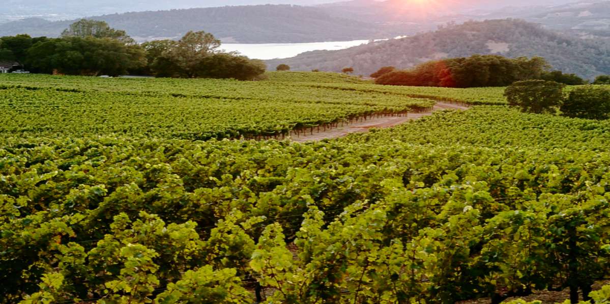 Win a road trip to wine country and beyond!