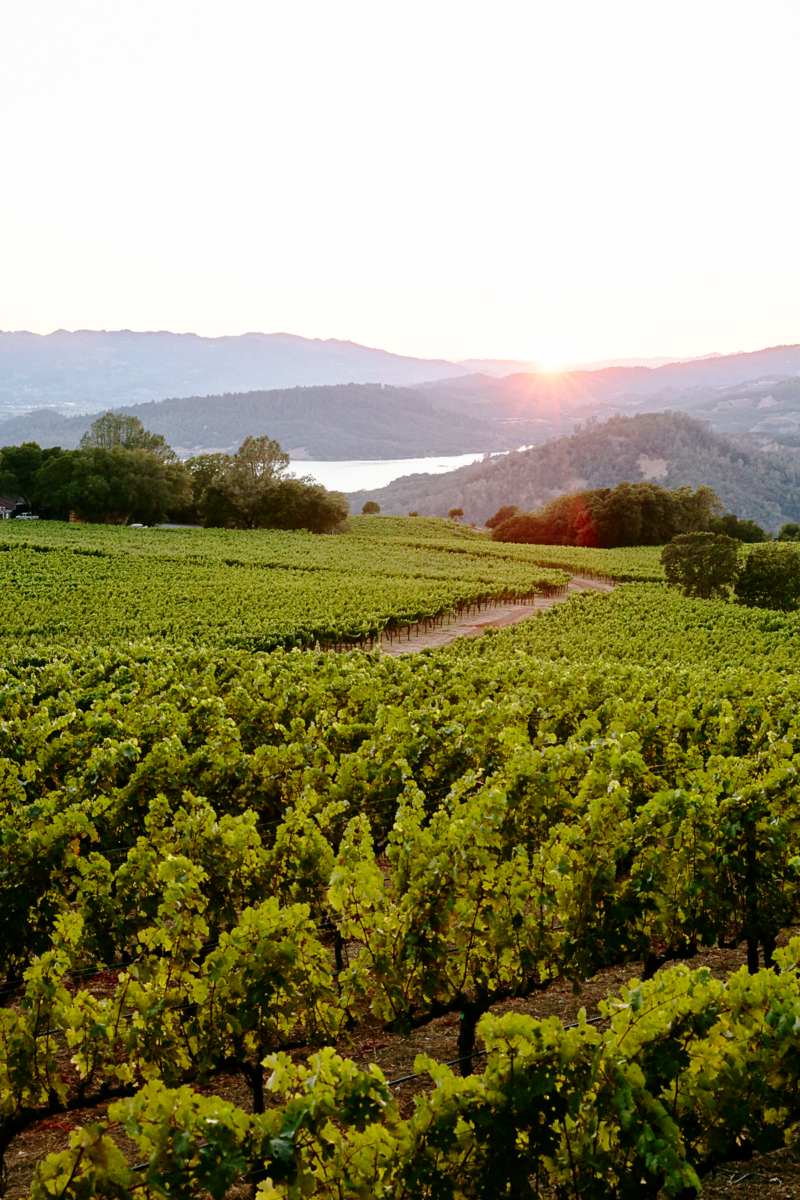 Win a road trip to wine country and beyond!