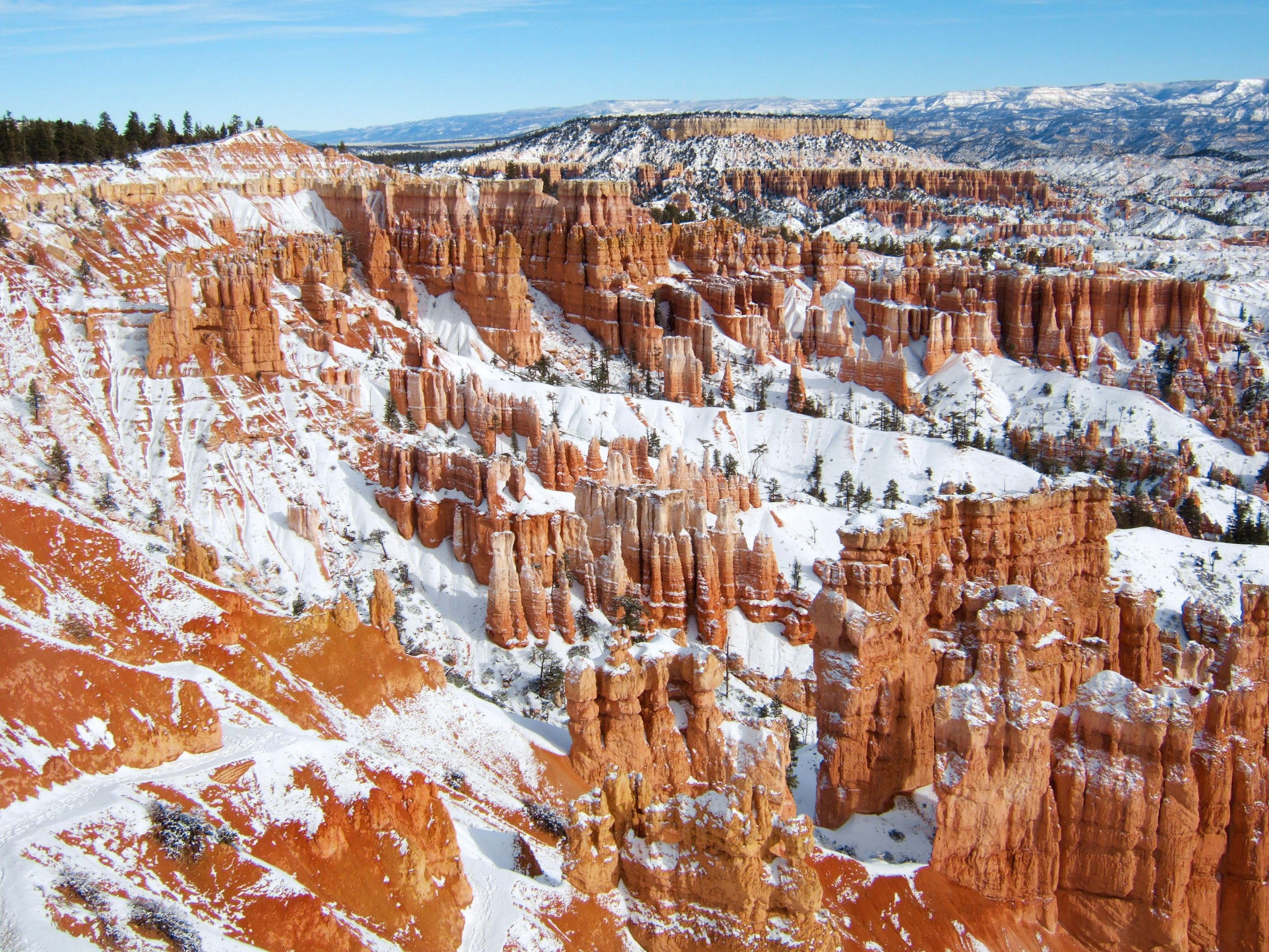 bryce national park winter