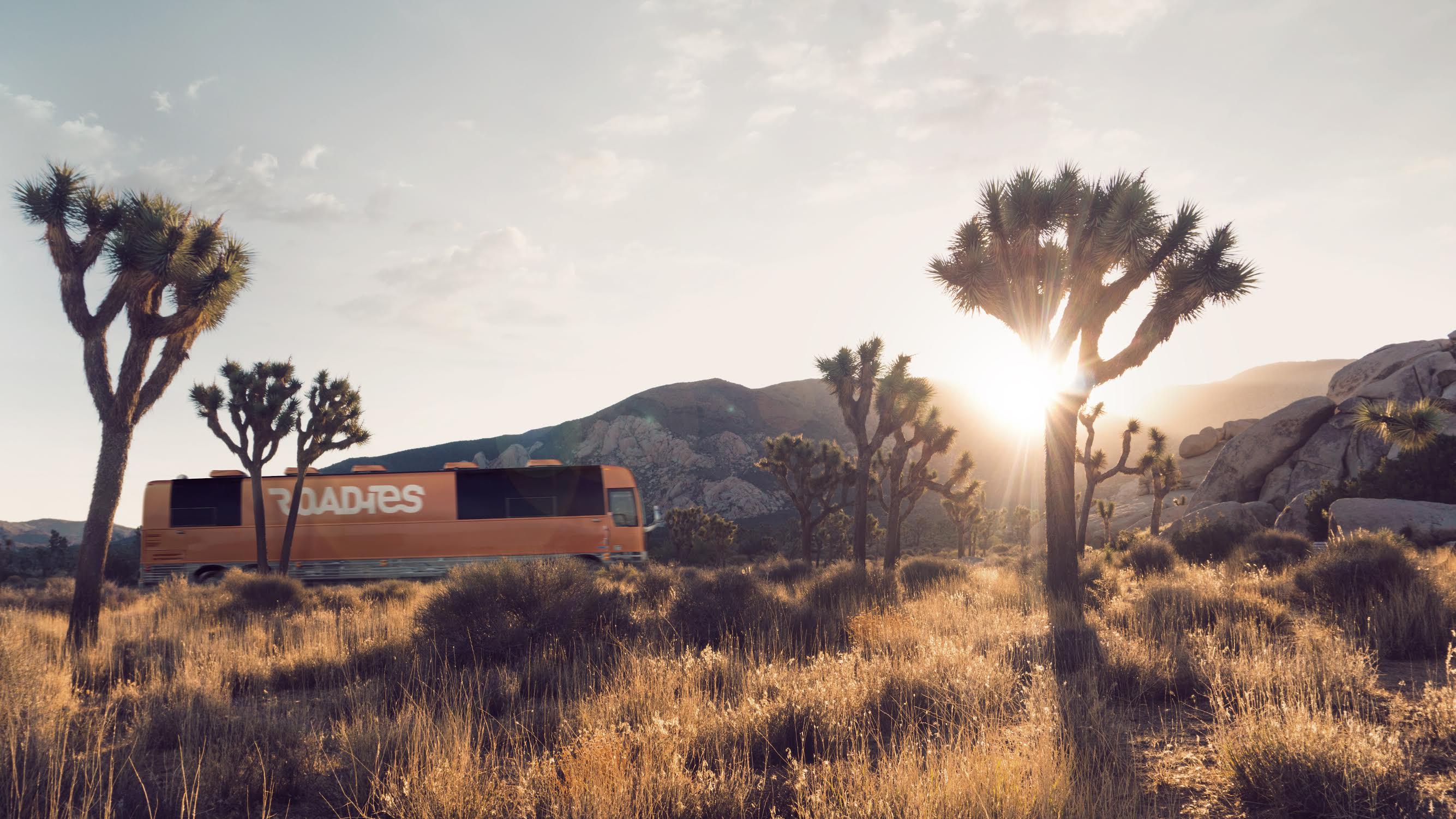 Roadies Bus Trip in Joshua Tree