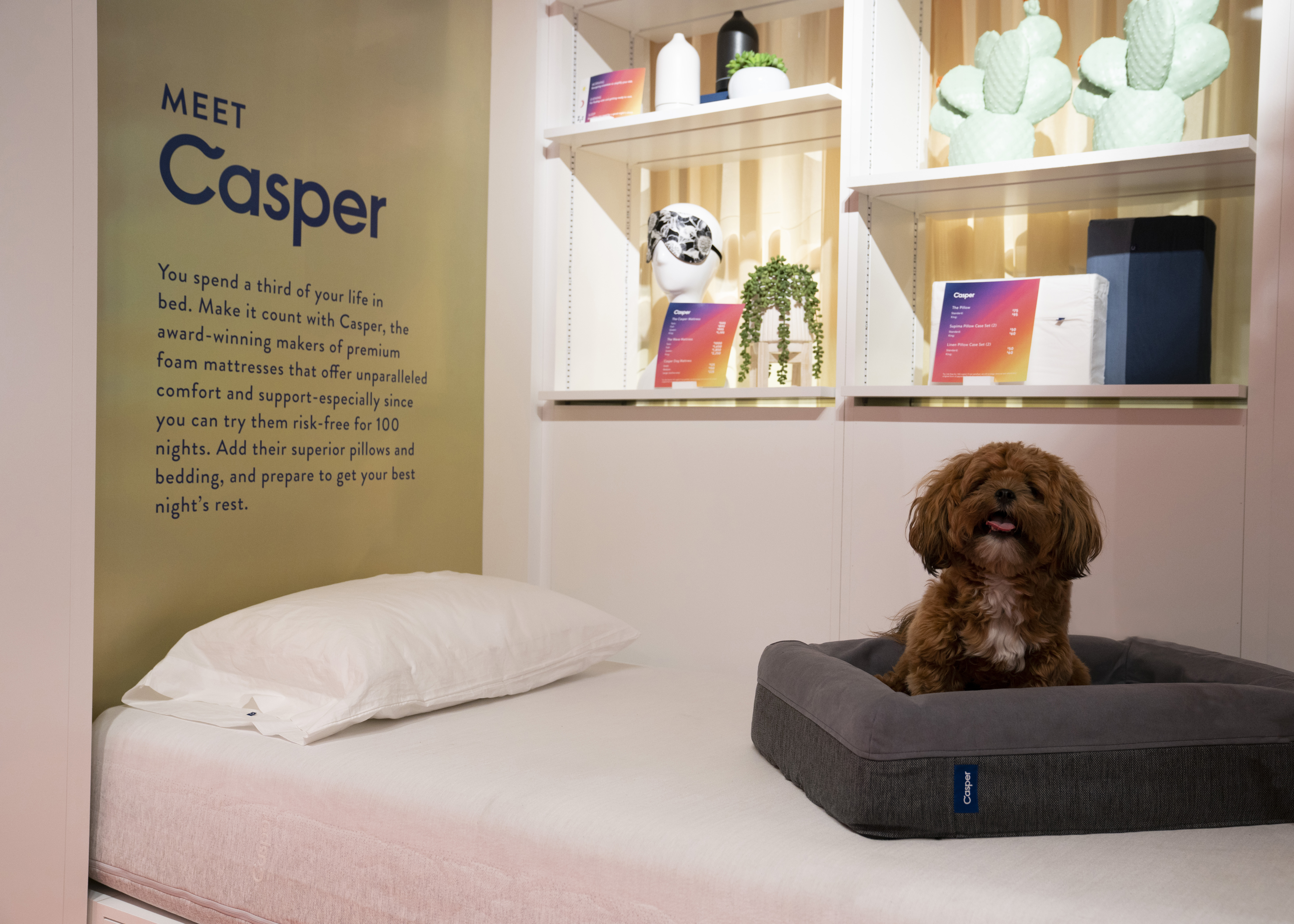 SleepIn@Nordstrom Pop-Up Shop