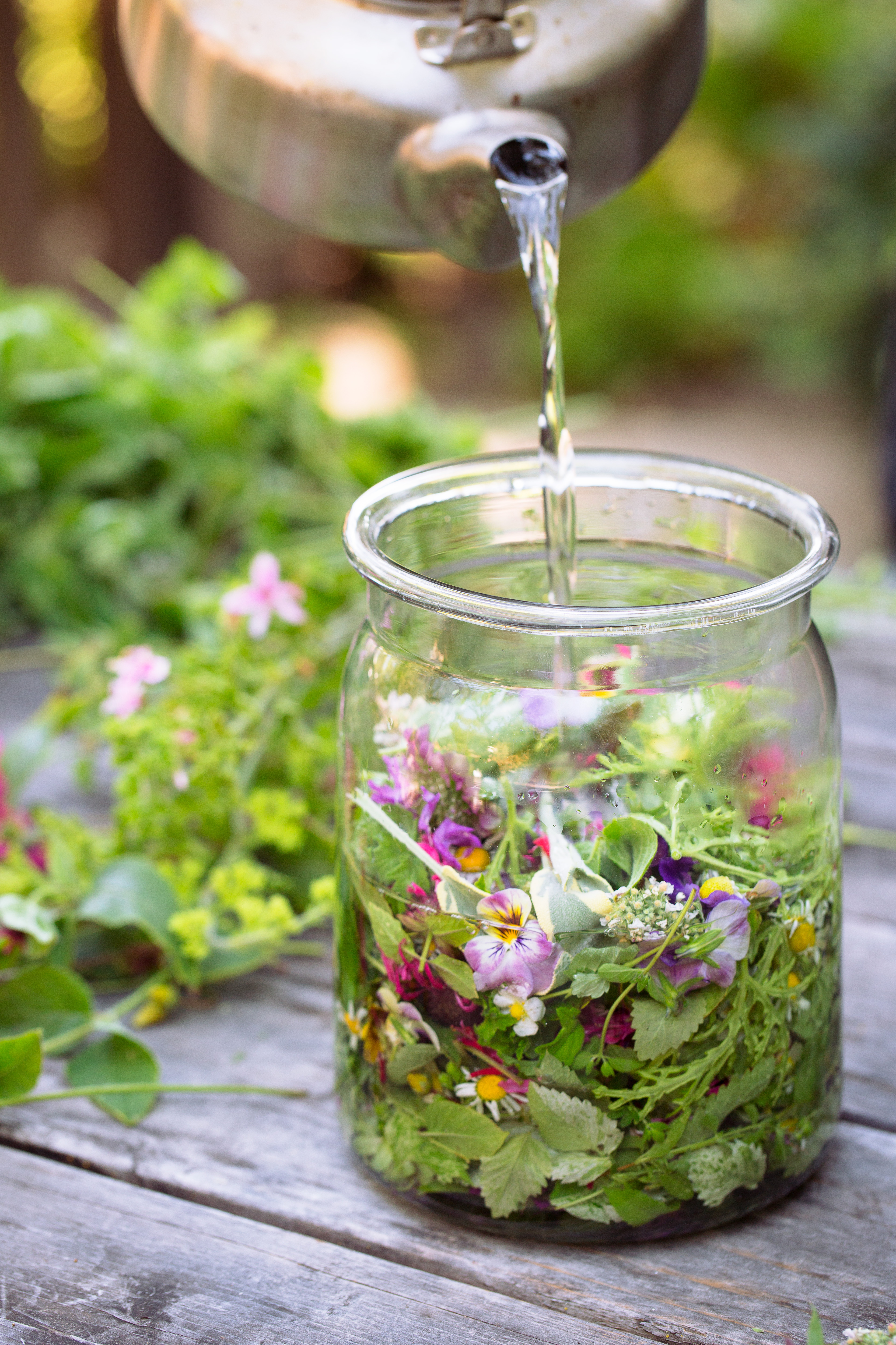 grow-your-own-herbal-tea-garden-sunset-magazine