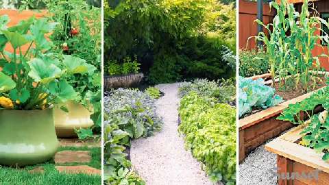 Concrete pavers with style